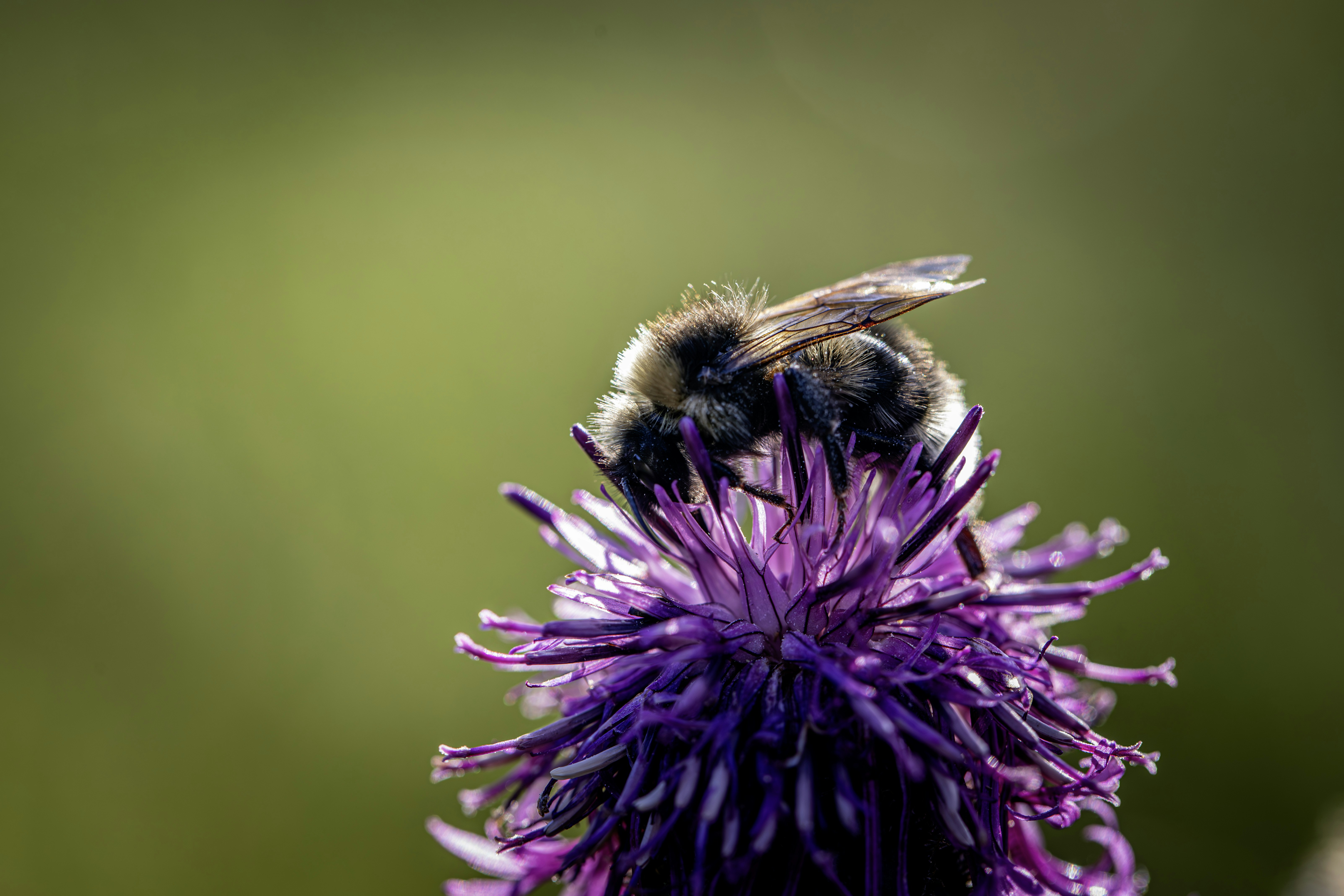 Photo by erik_karits