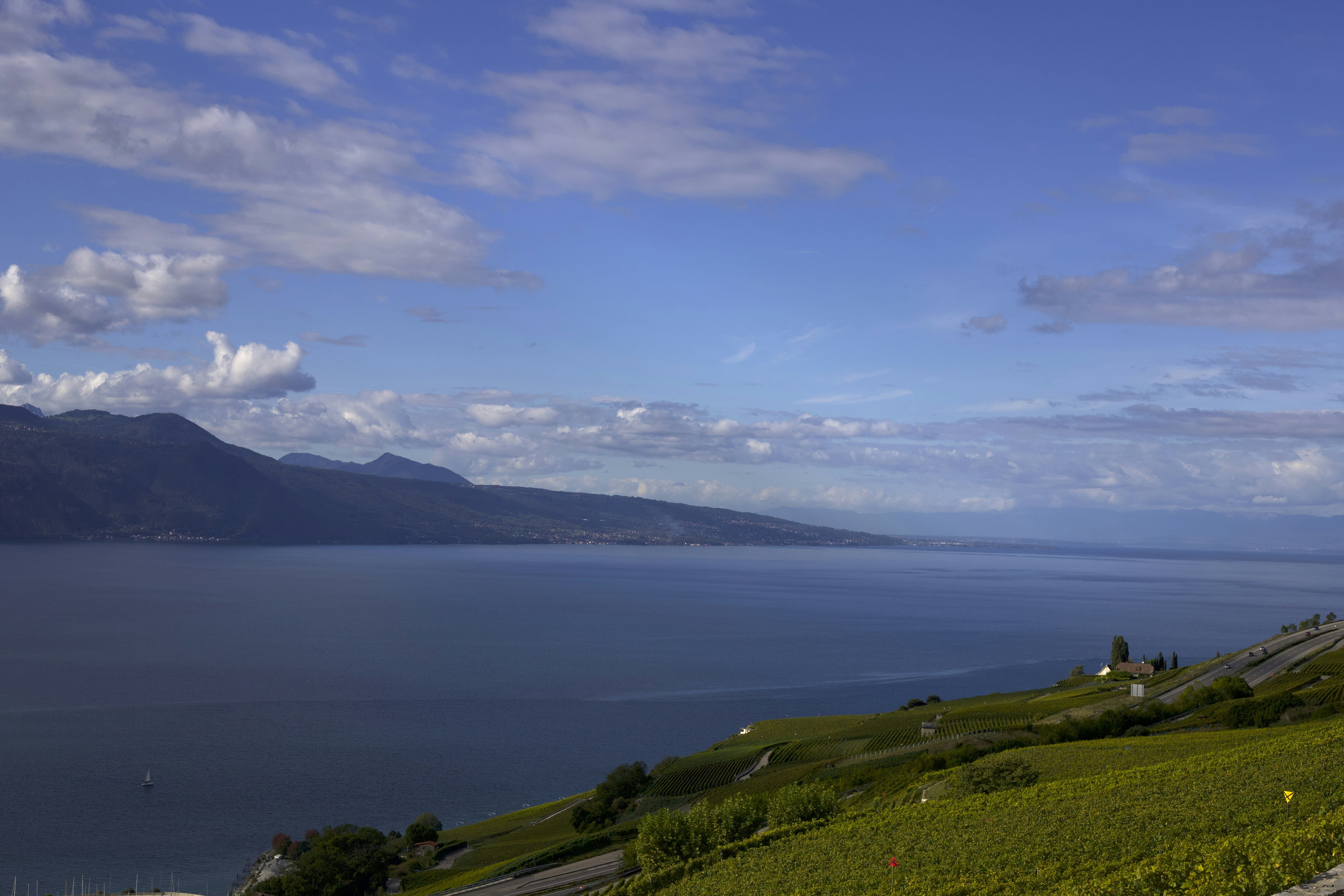 Photo by william_ducret