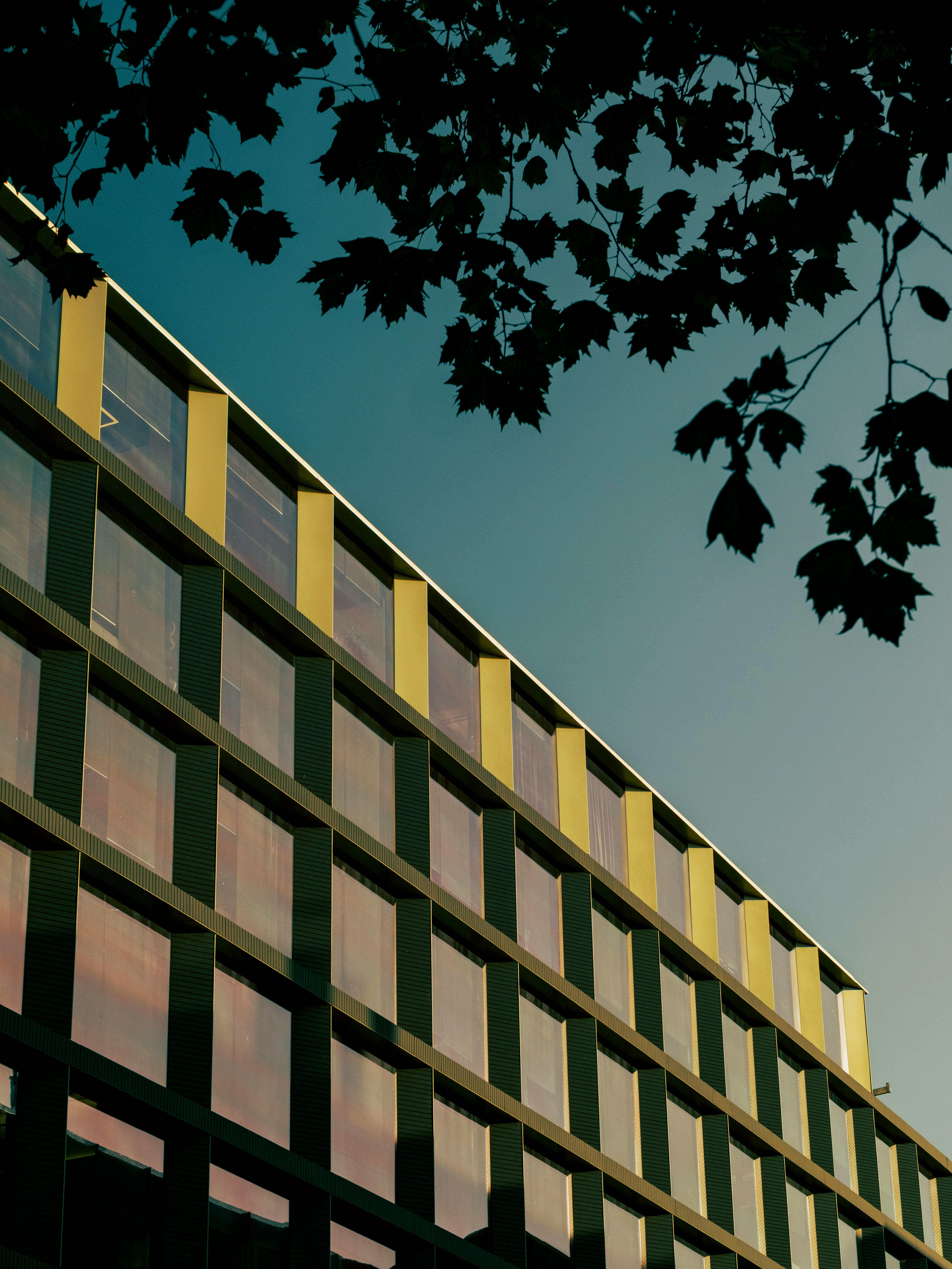 Photo by imscottrobertson1