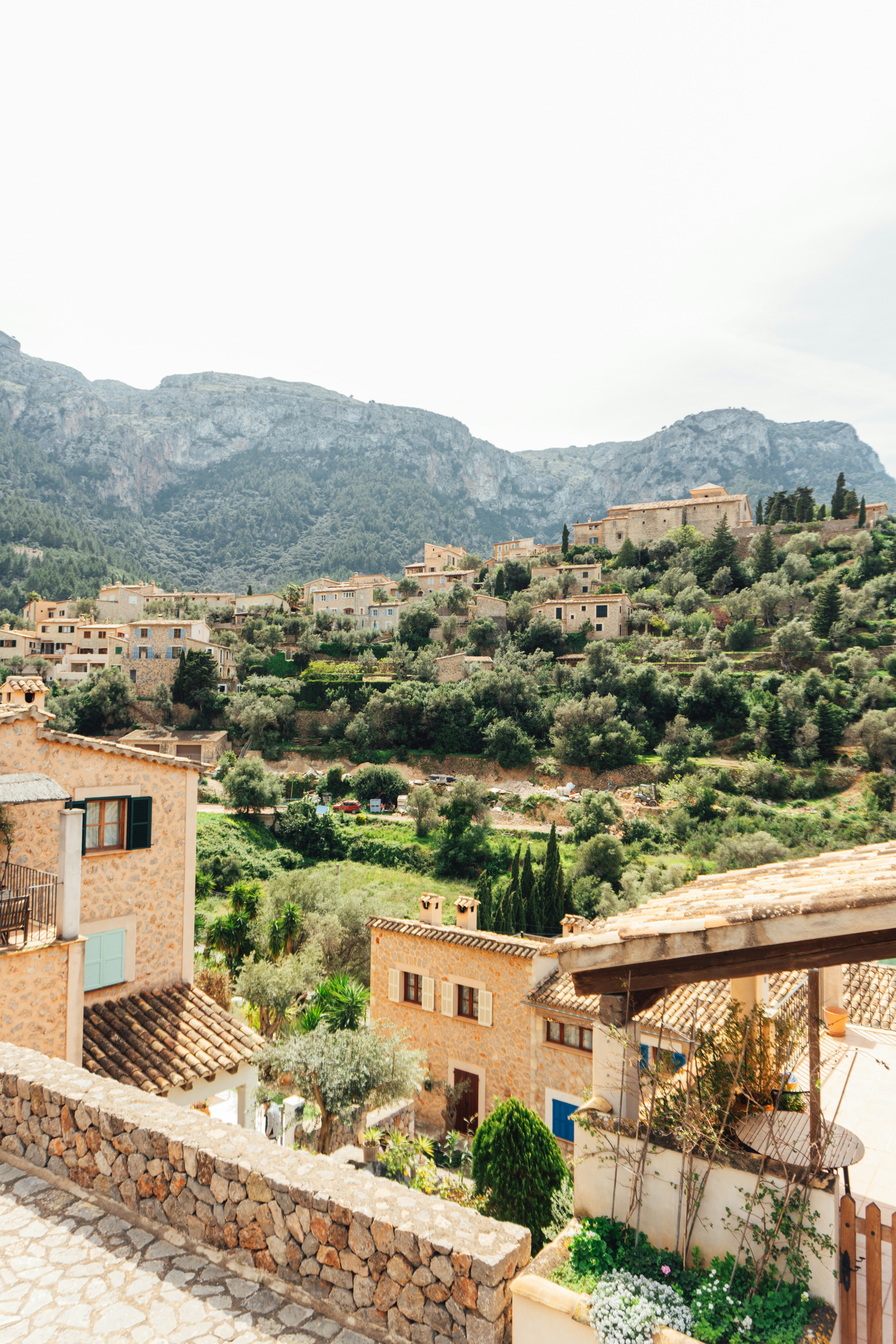 Photo by raymondpetrik