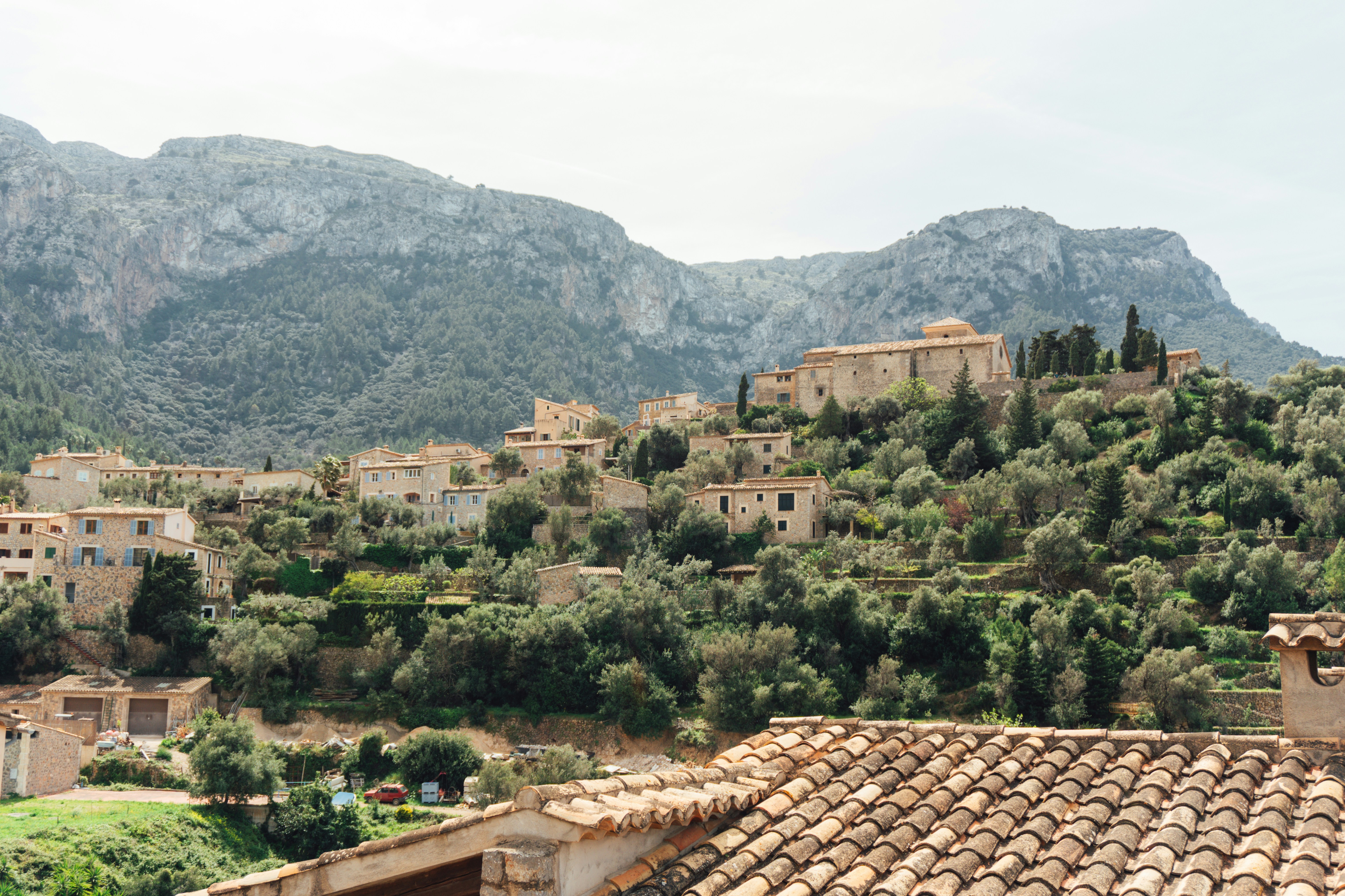 Photo by raymondpetrik