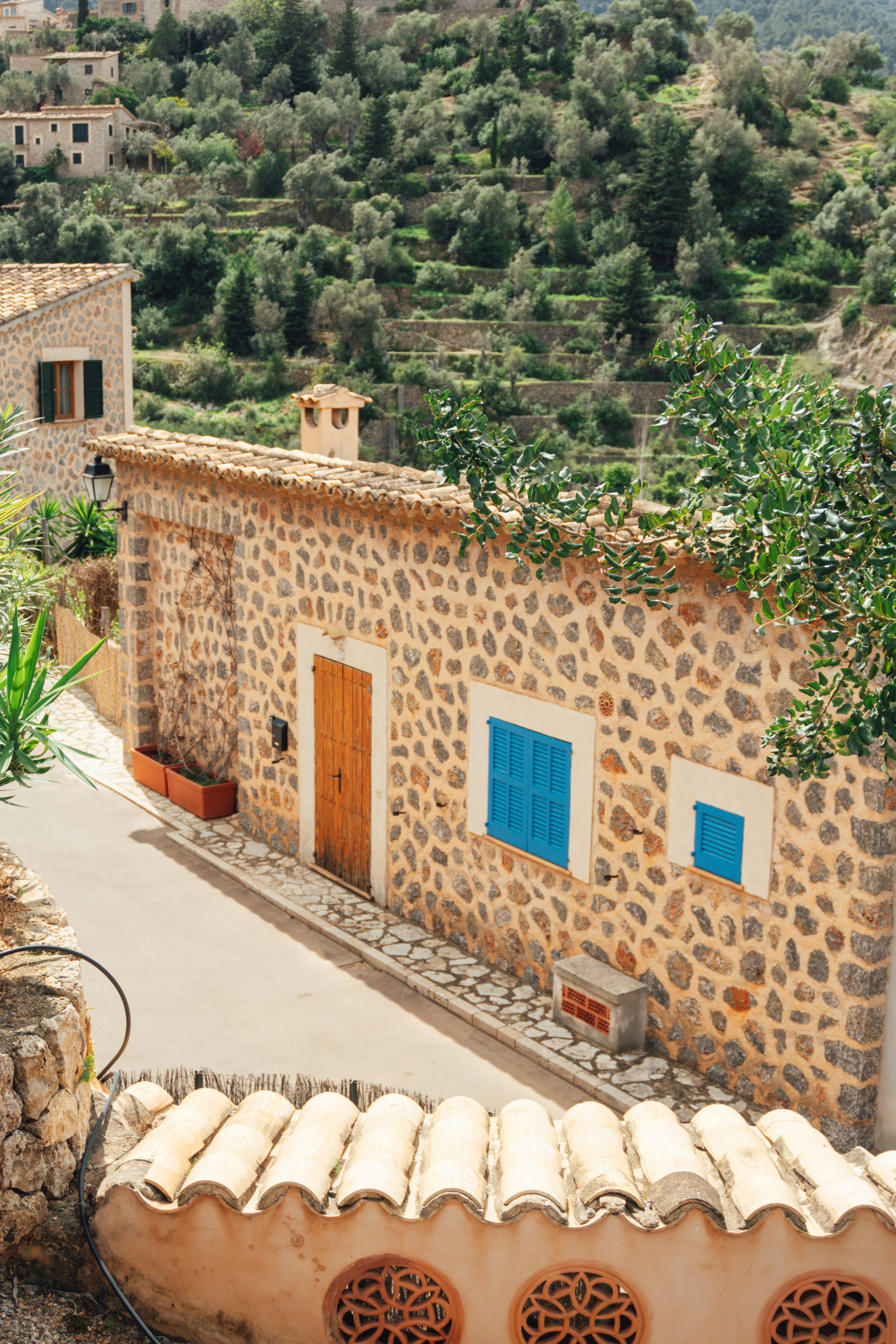 Photo by raymondpetrik