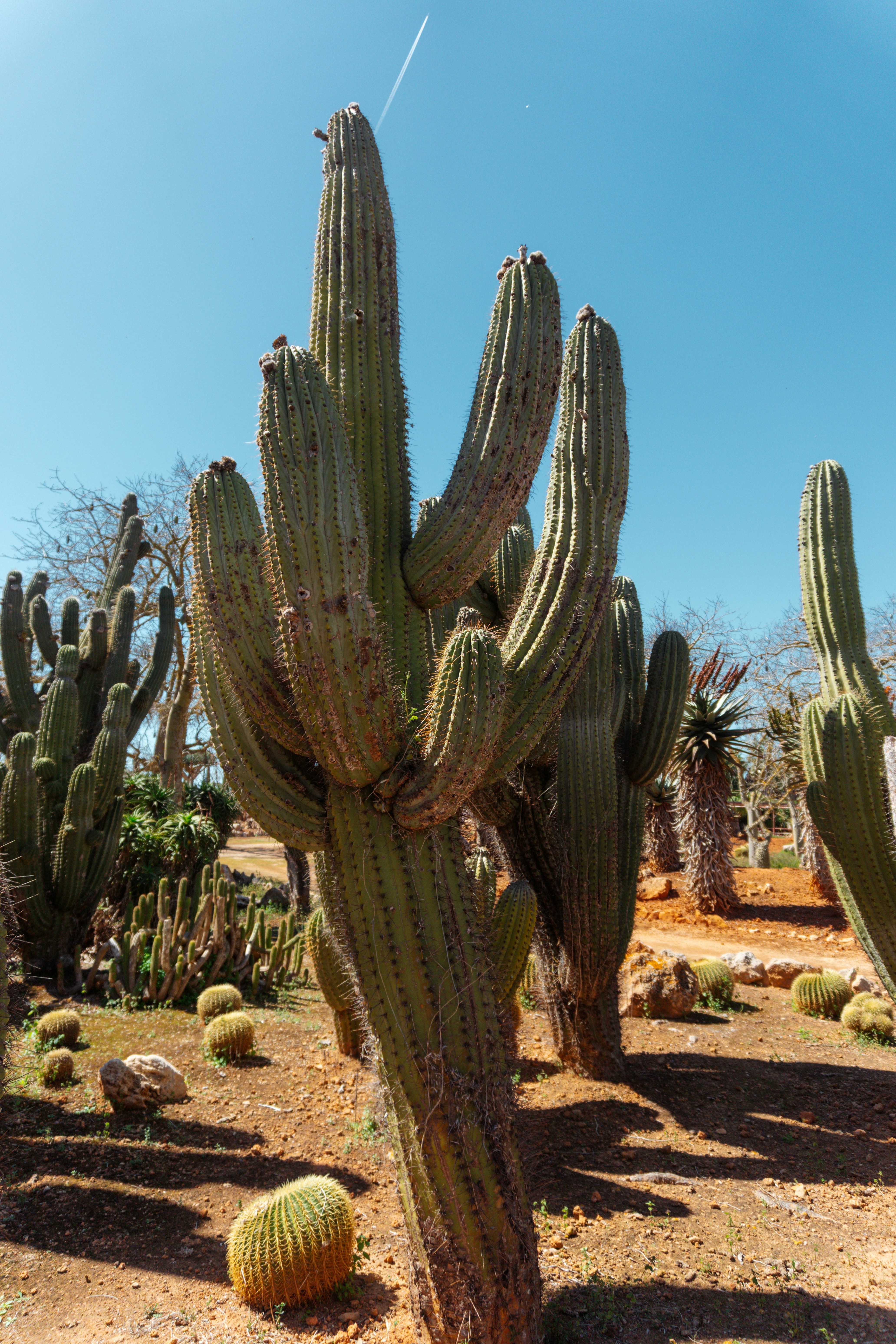 Photo by raymondpetrik