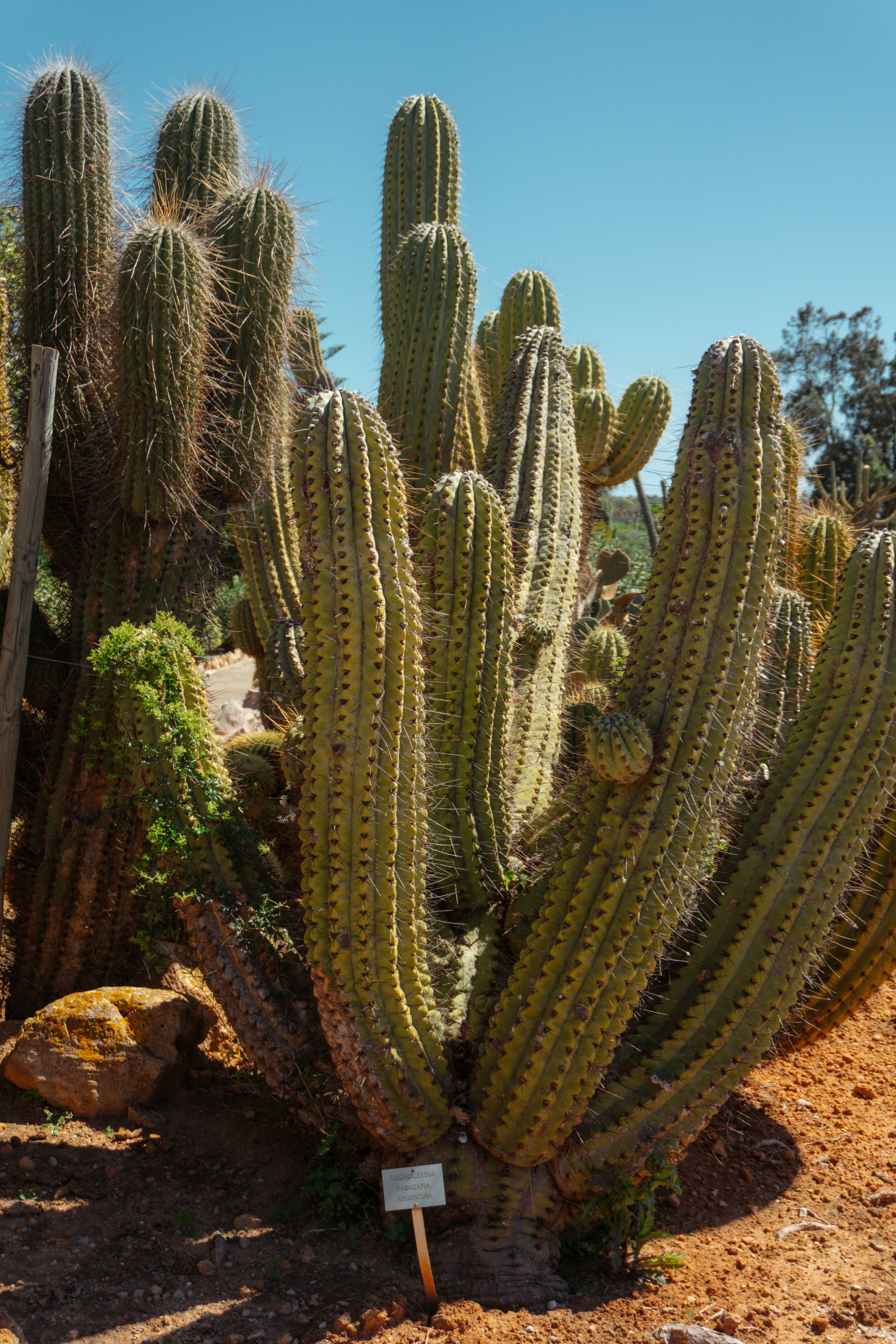 Photo by raymondpetrik