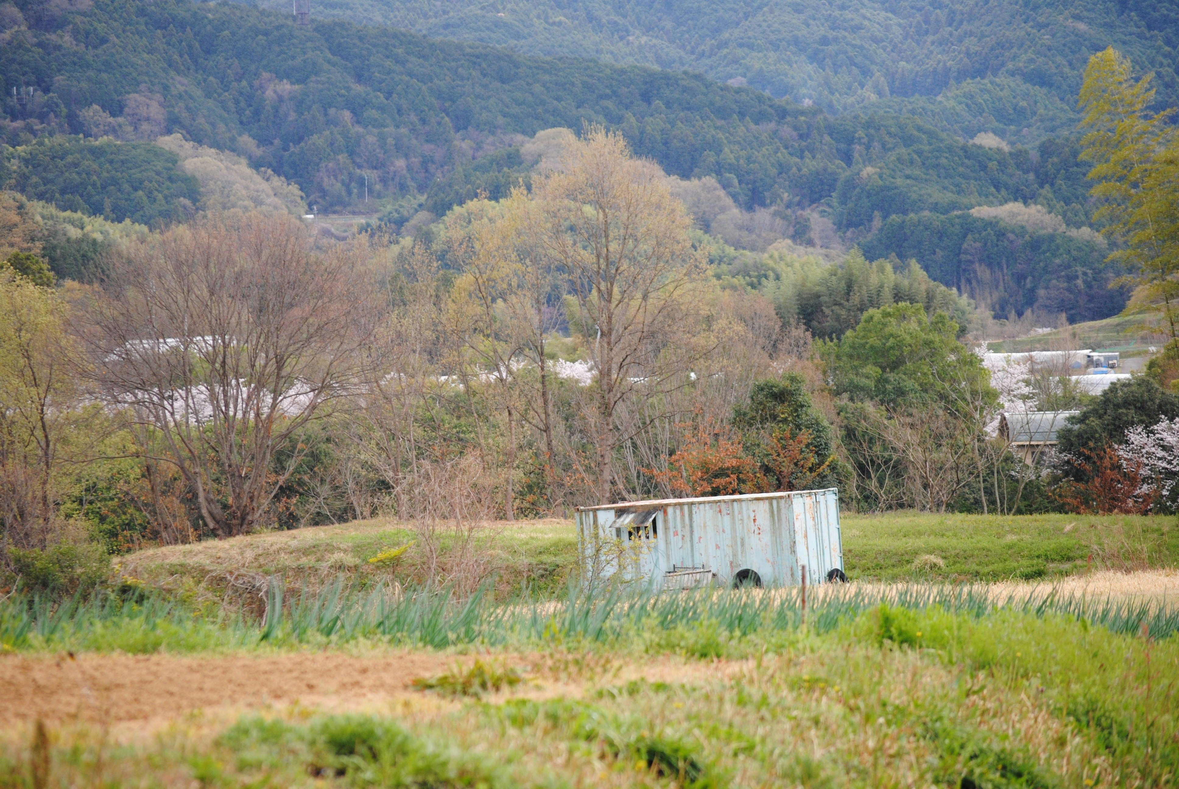 photo 1743848076473 5105ca7c7a3f?crop=entropy&cs=tinysrgb&fit=max&fm=jpg&ixid=M3w1MjQ0NjR8MHwxfHNlYXJjaHw5fHxQZXN0JTIwQ29udHJvbCUyMFNlcnZpY2UlMjBWYWxkb3N0YSUyMEdlb3JnaWF8ZW58MHwwfHx8MTc2MDMxNTcxMnww&ixlib=rb 4.1