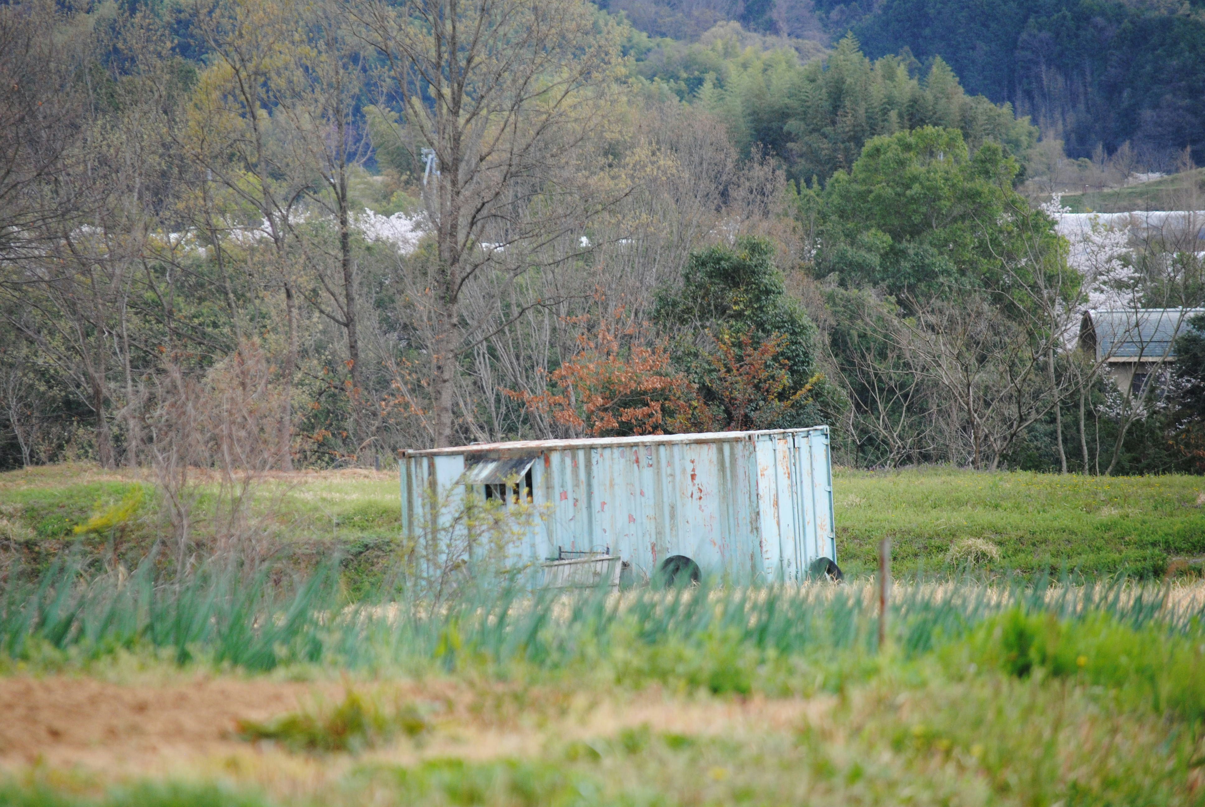 photo 1743848088398 ff273ac1b6e8?crop=entropy&cs=tinysrgb&fit=max&fm=jpg&ixid=M3w1MjQ0NjR8MHwxfHNlYXJjaHwxNXx8UGVzdCUyMENvbnRyb2wlMjBTZXJ2aWNlJTIwVGlnYXJkJTIwT3JlZ29ufGVufDB8MHx8fDE3NjAzMTcyMjR8MA&ixlib=rb 4.1