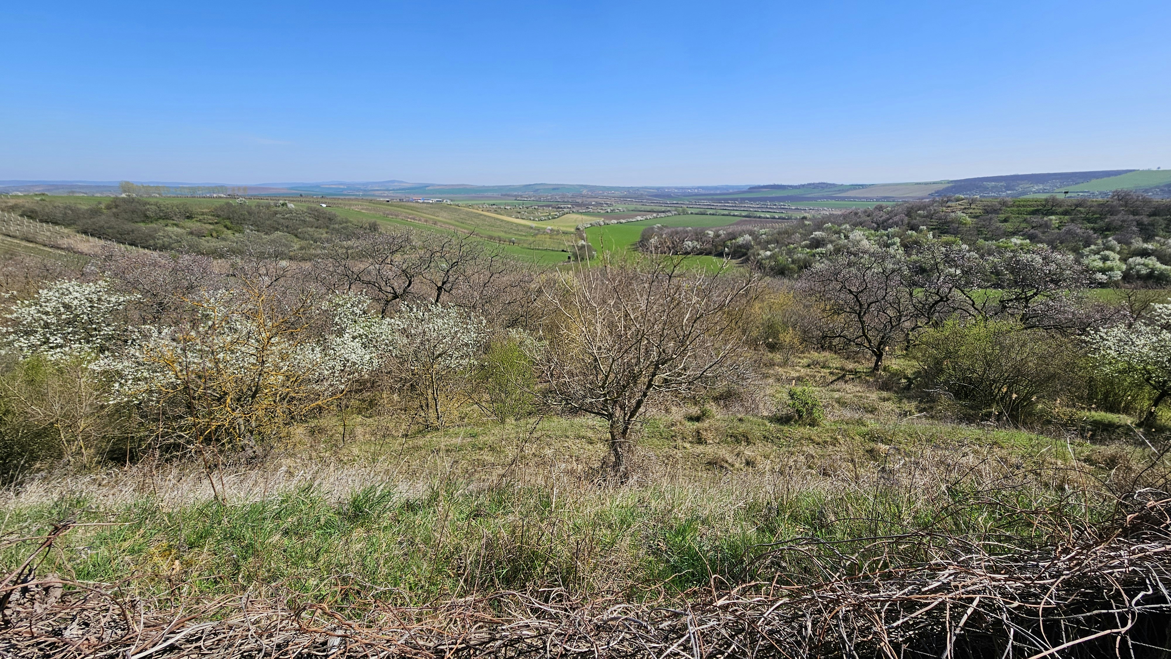 Photo by marjorylucabaxter