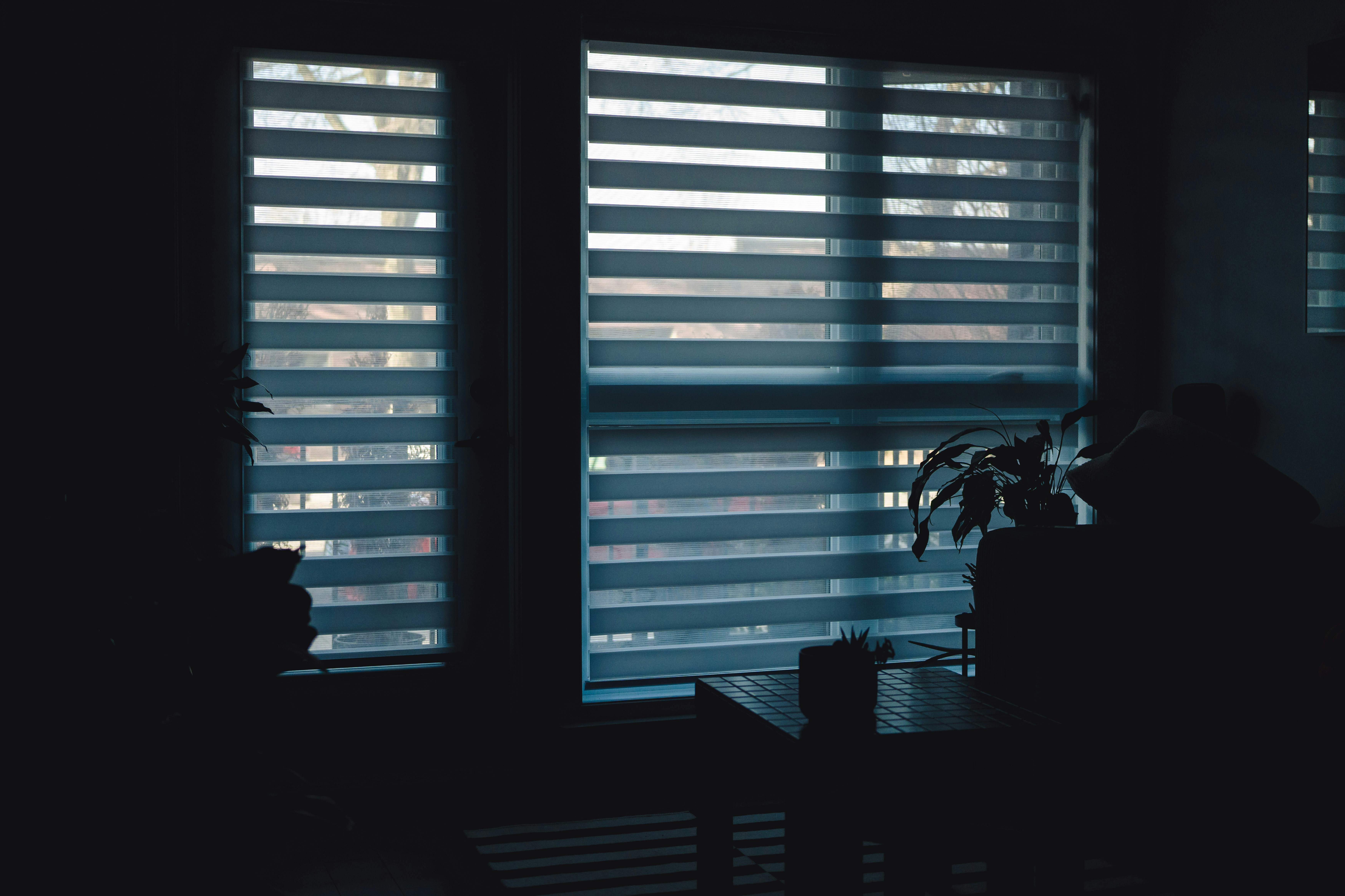 Photo by user90807060