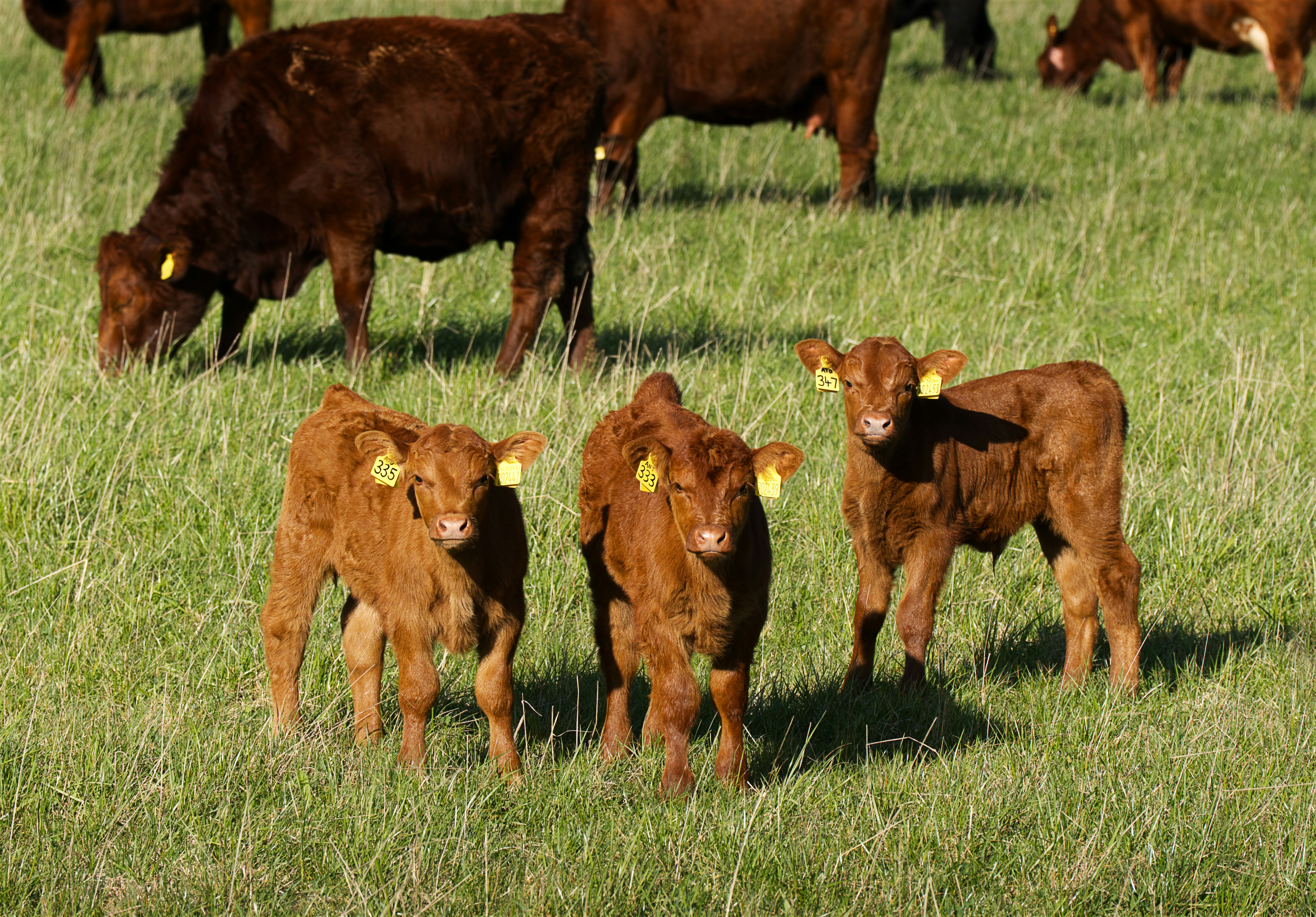 Photo by packetdiscards