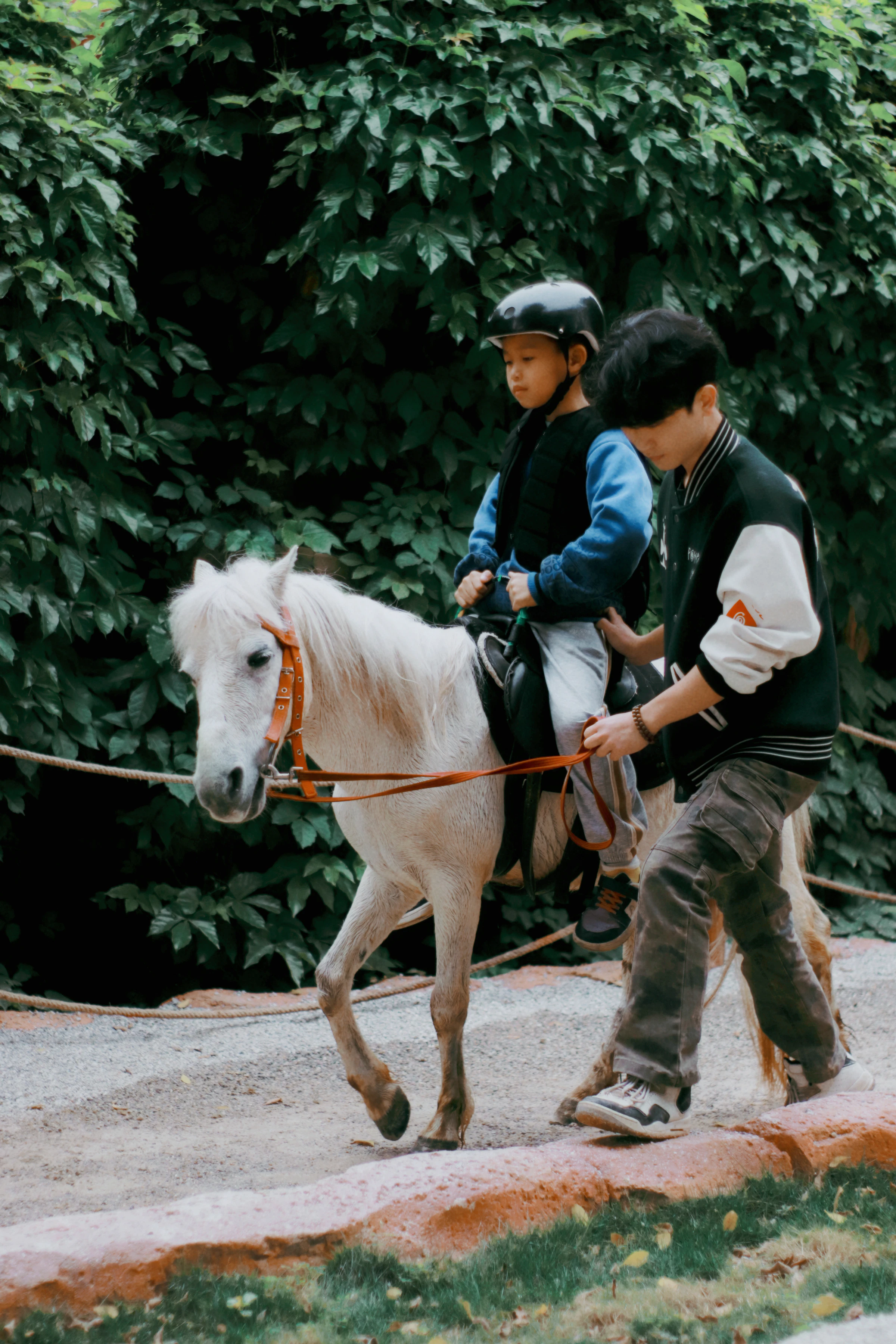 A young boy on a white pony, guided by an adult on the lead rein