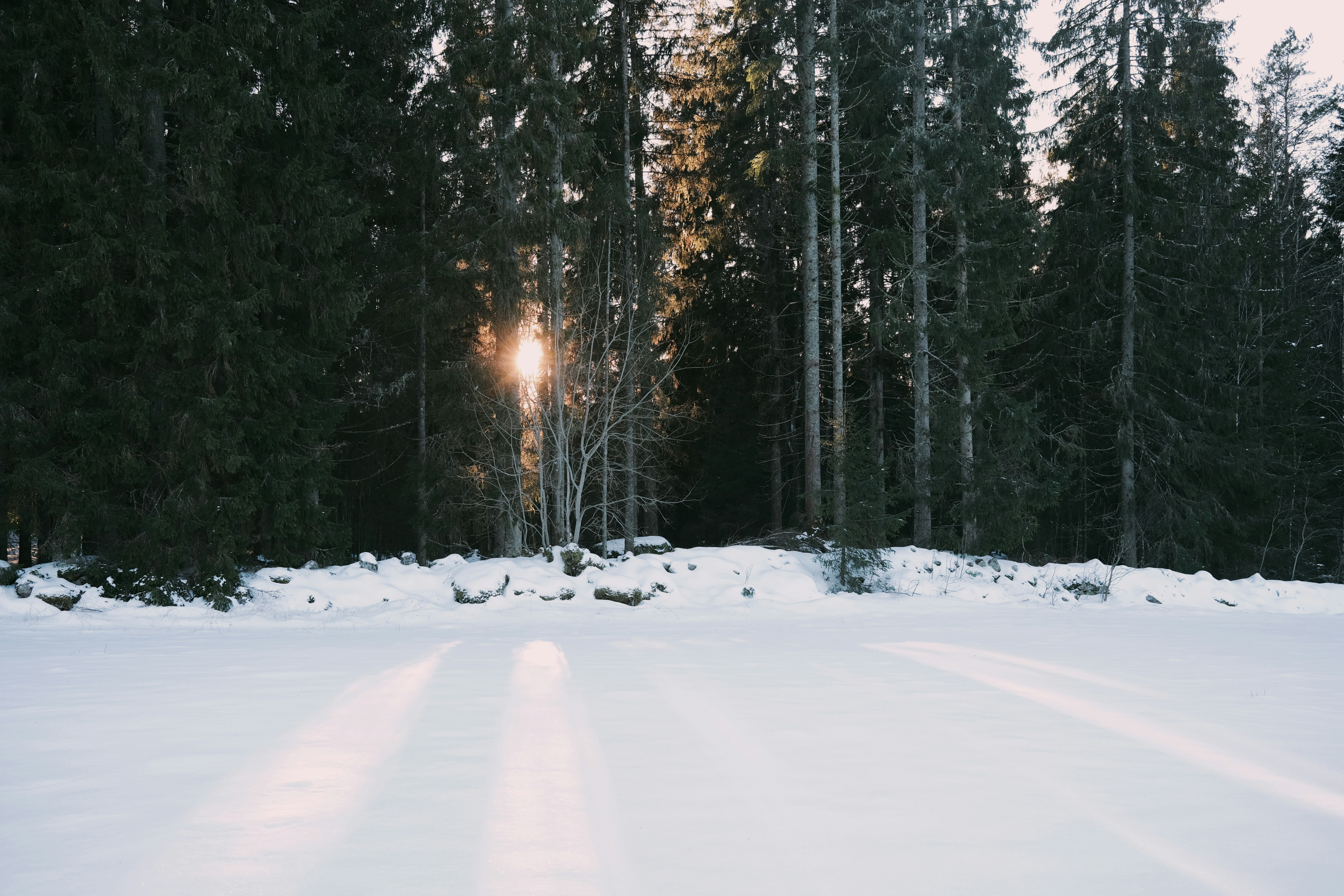 Photo by magnusjonasson