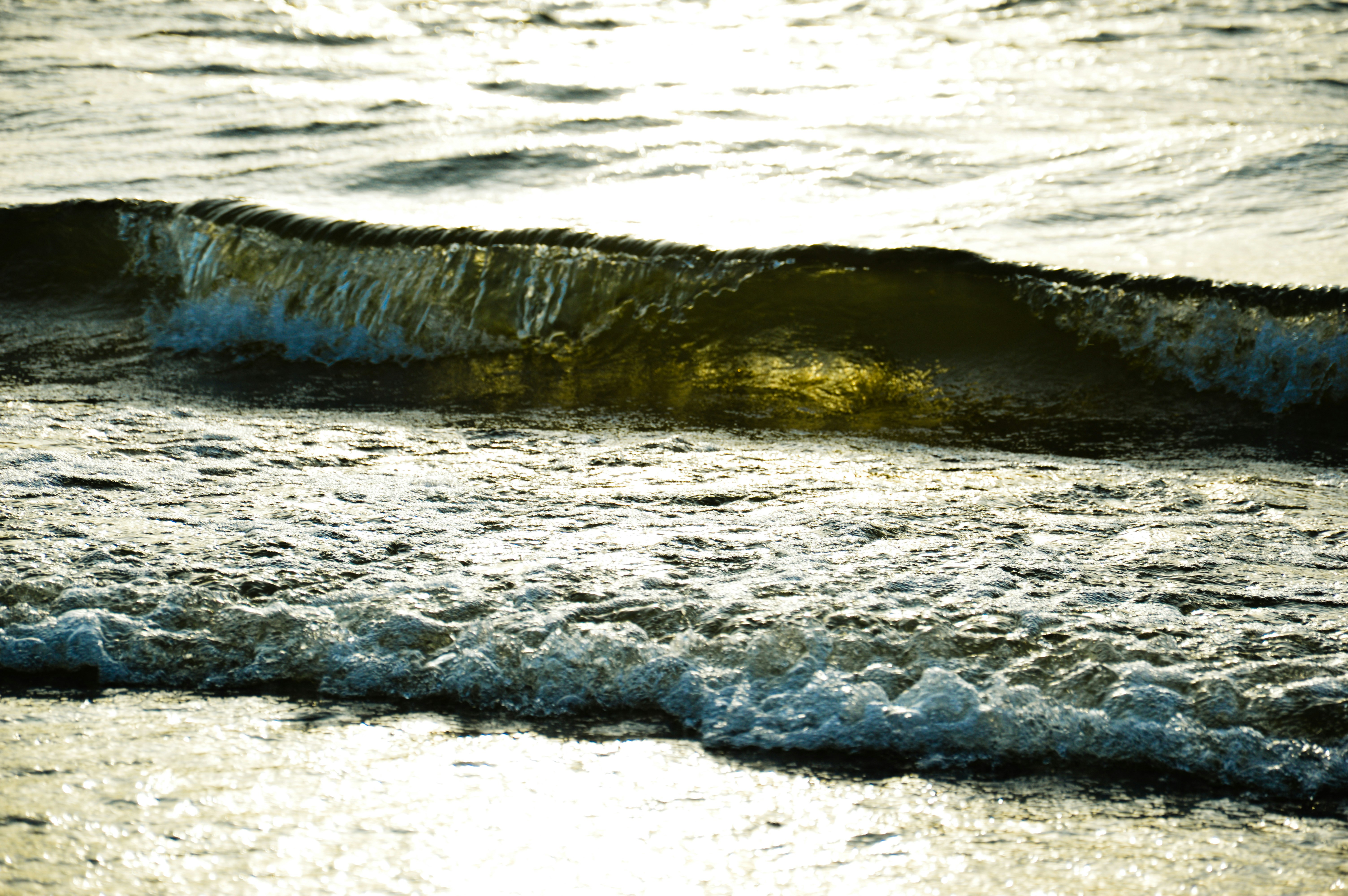 Photo by beauty_is_everywhere