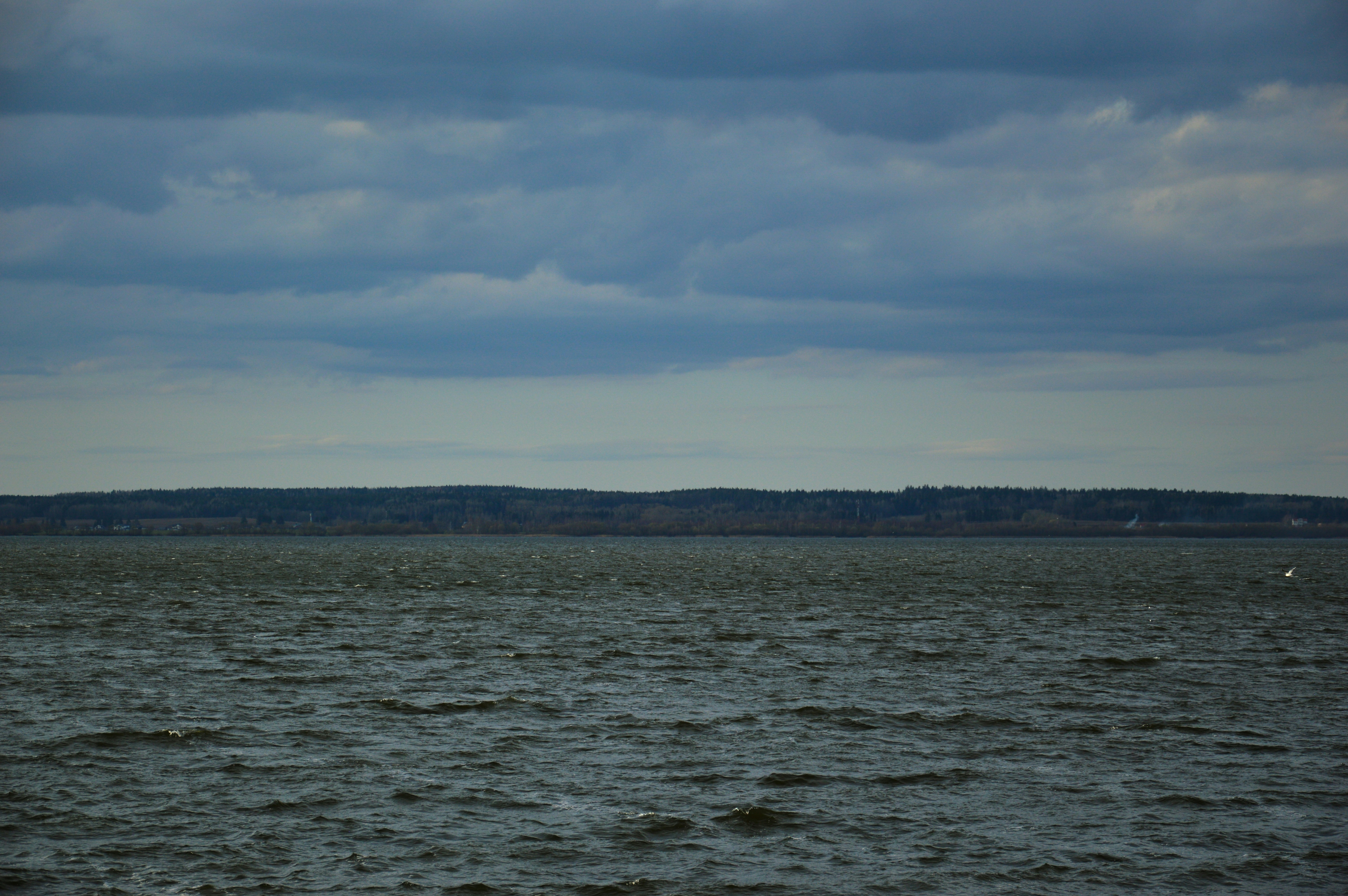 Photo by beauty_is_everywhere