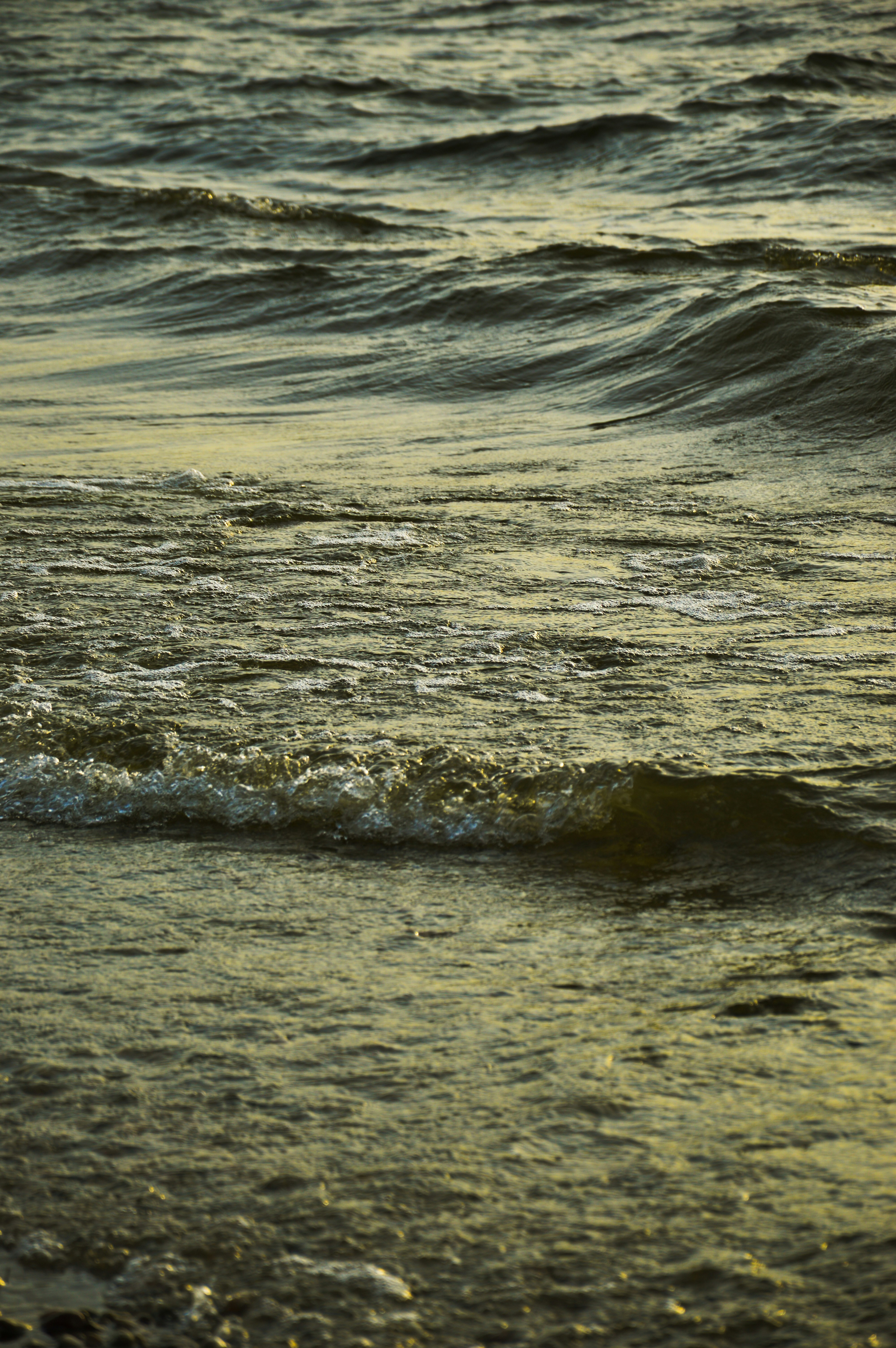 Photo by beauty_is_everywhere