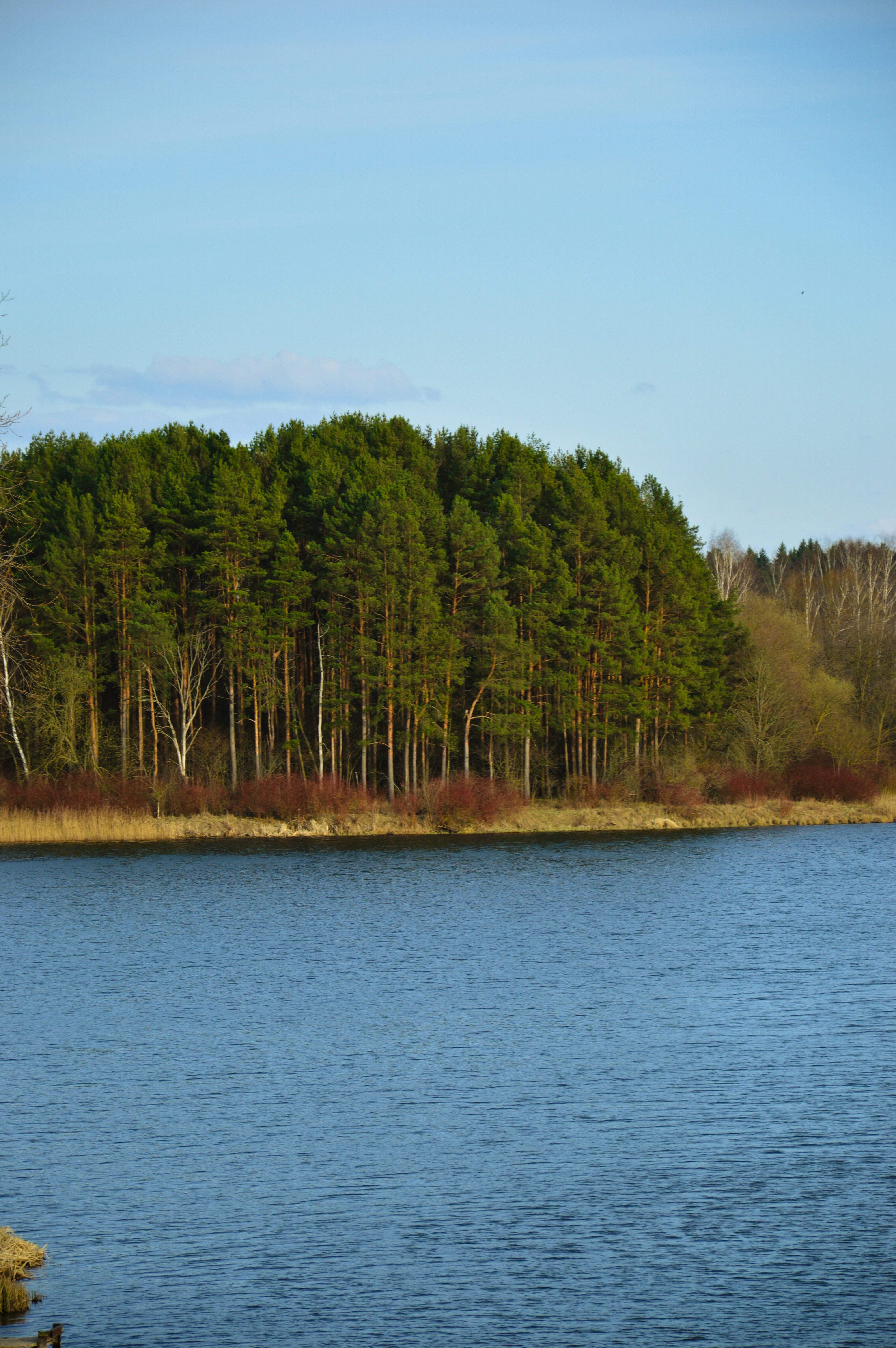 Photo by beauty_is_everywhere