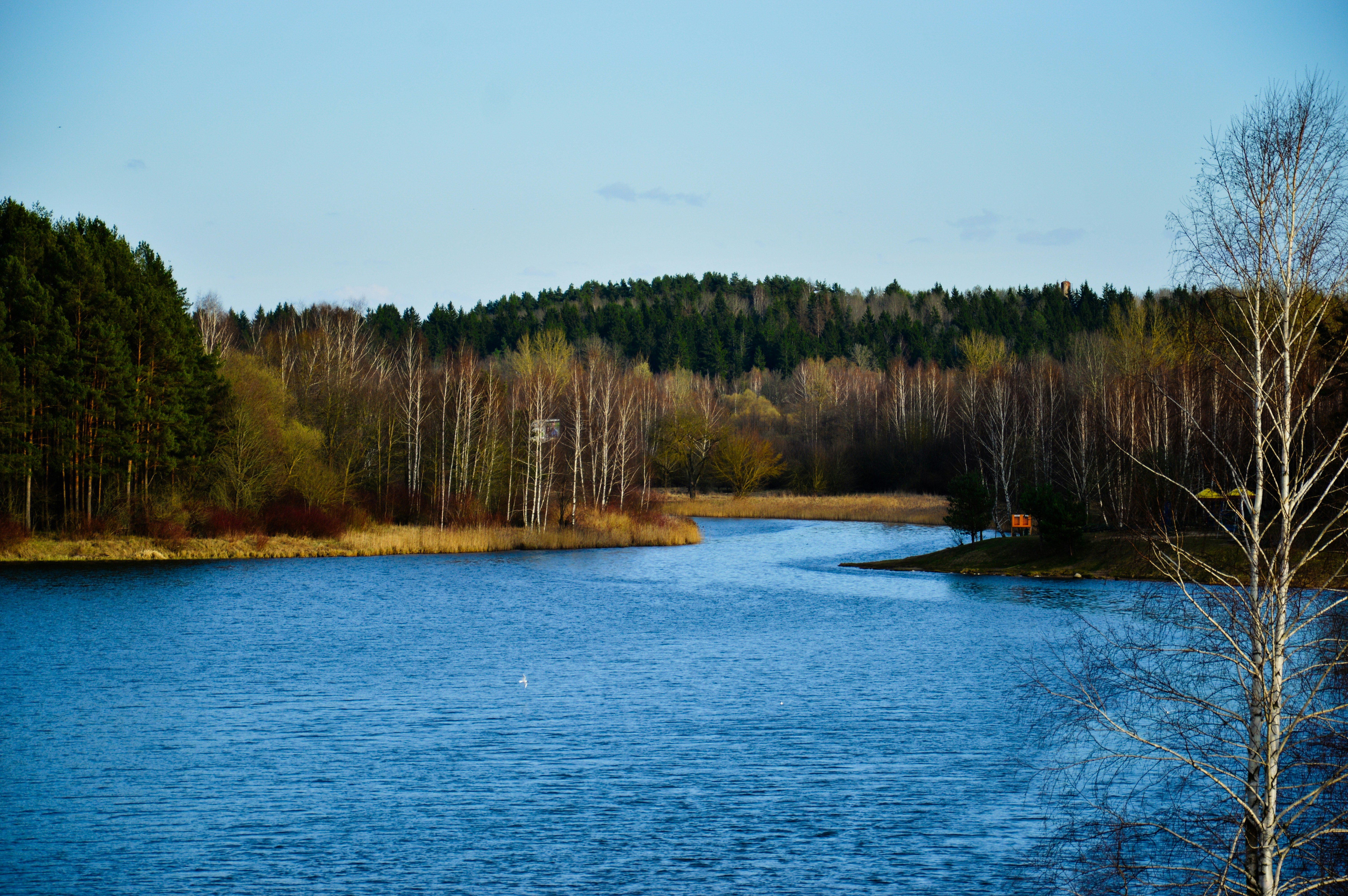 Photo by beauty_is_everywhere