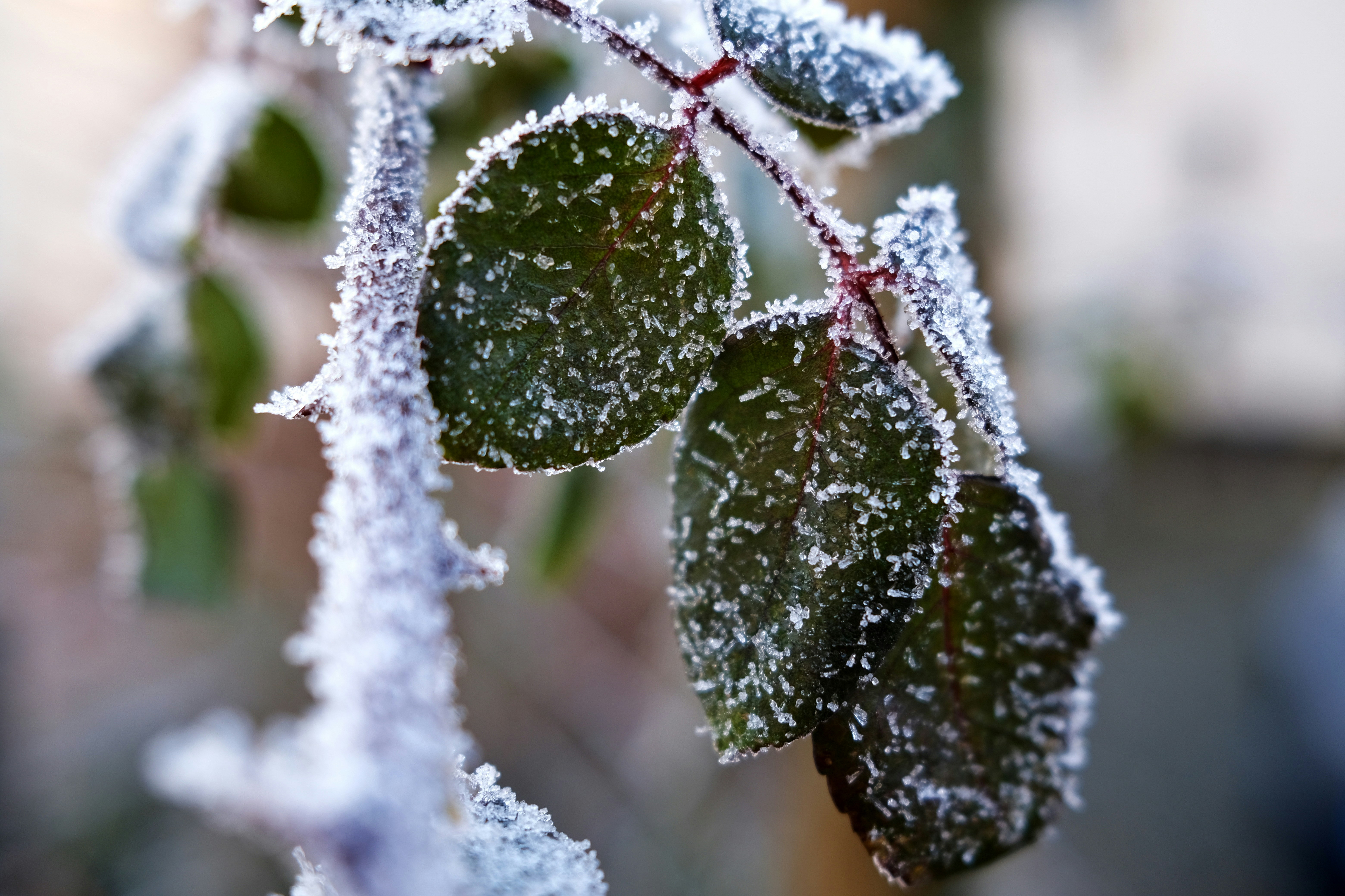 Photo by magnusjonasson