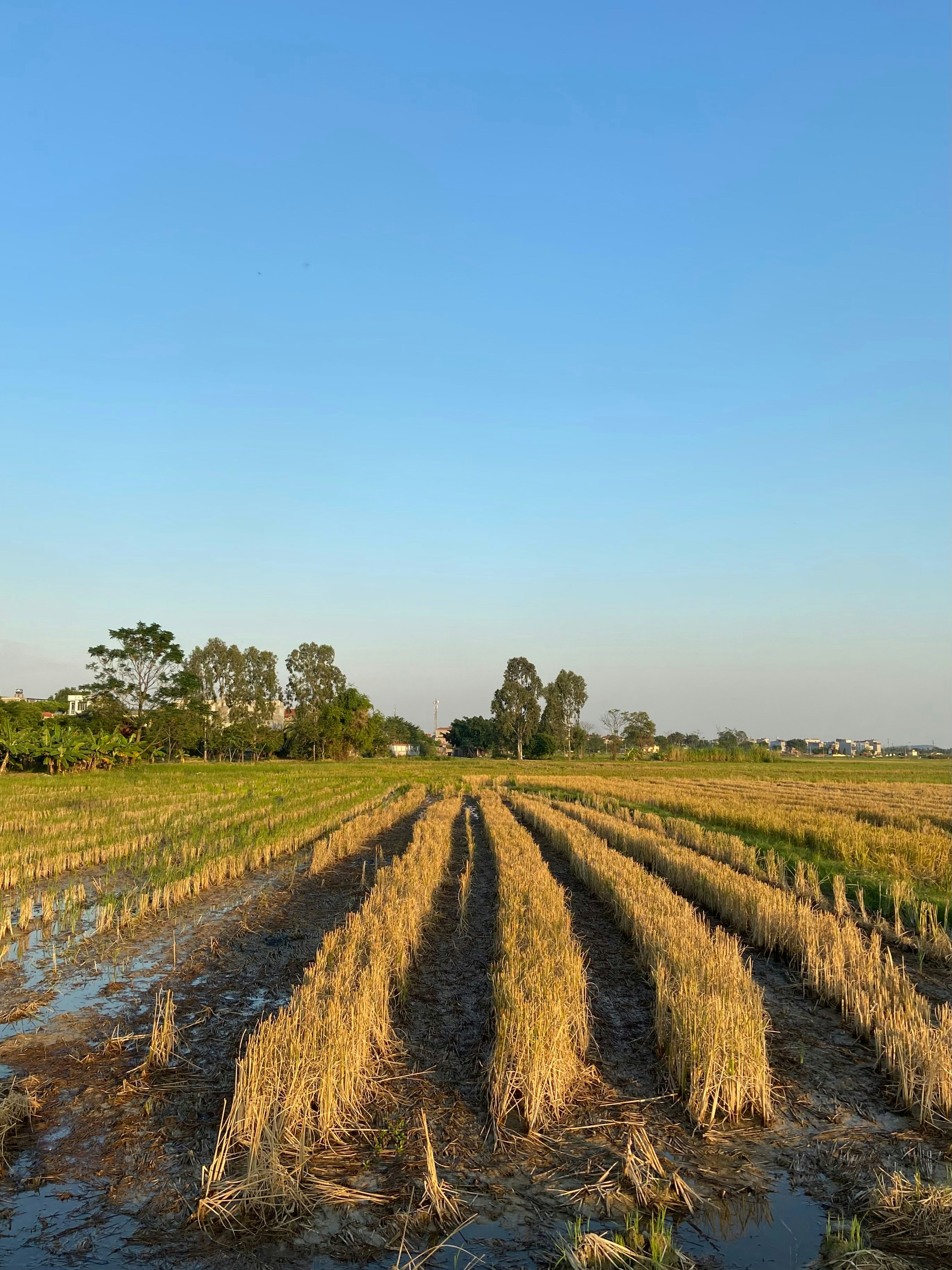 Photo by buithanhhuong