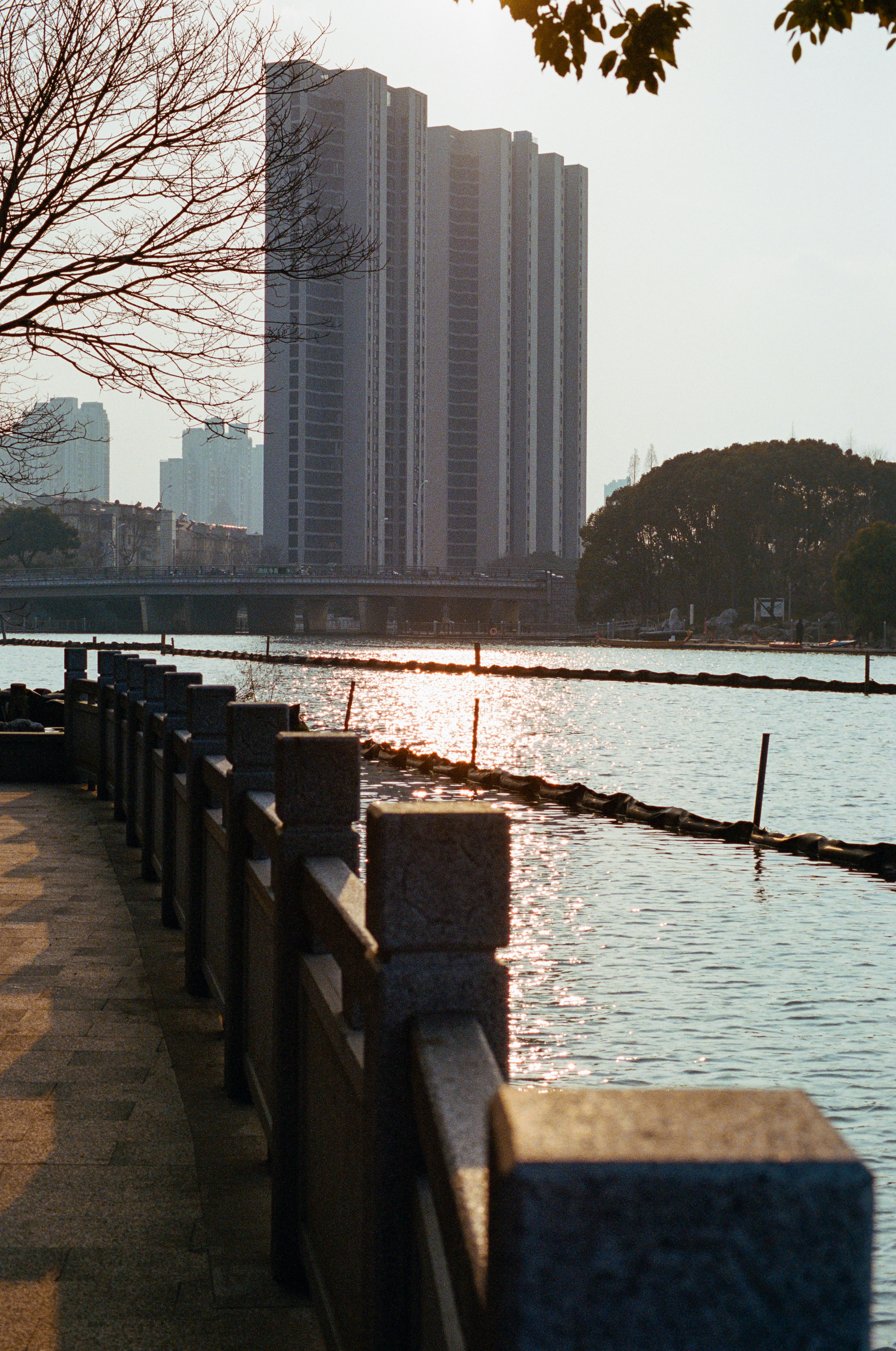 Photo by zhenyao_photo