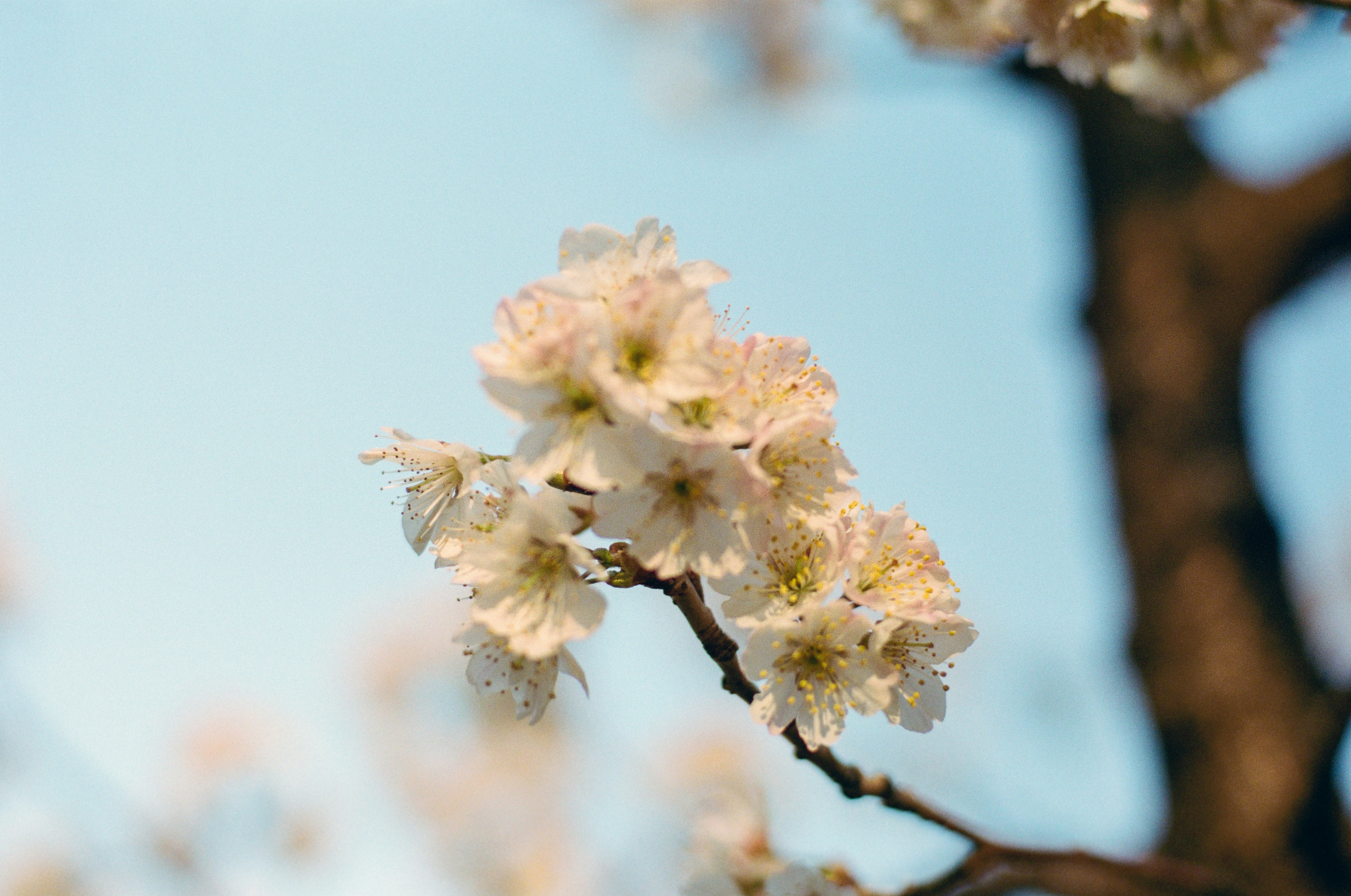 Photo by zhenyao_photo