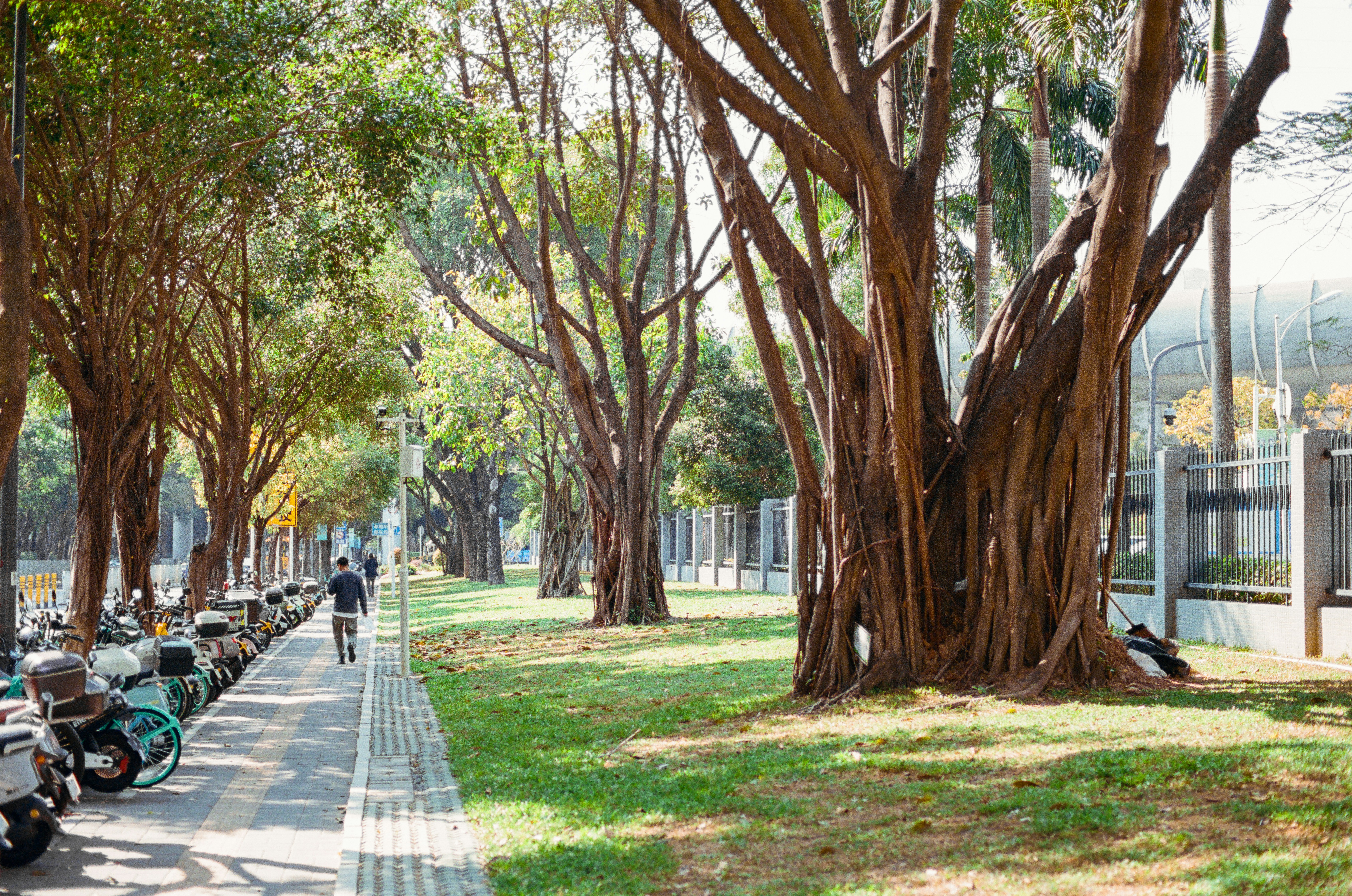 Image by Zhen Yao via Unsplash