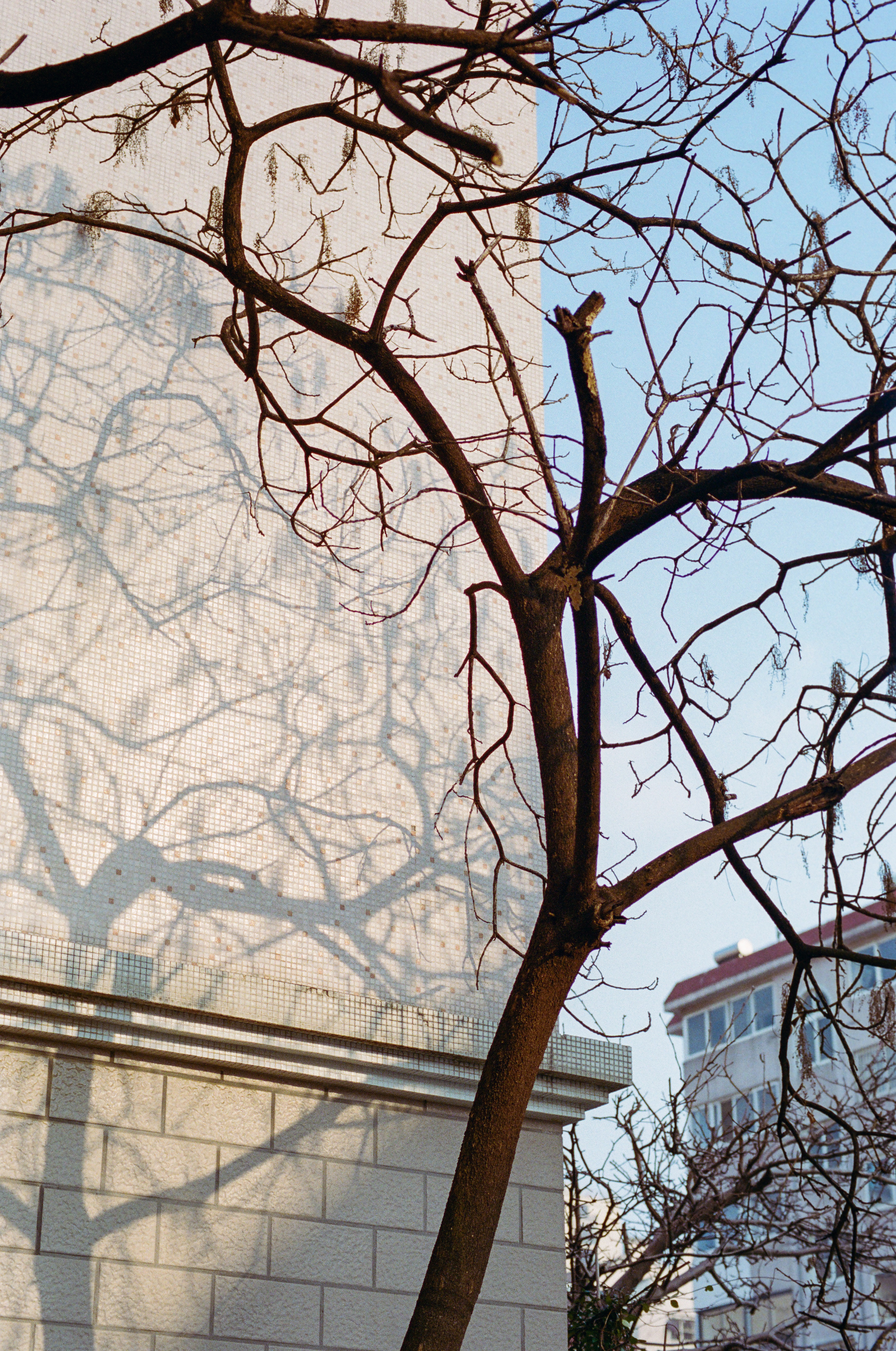 Photo by zhenyao_photo