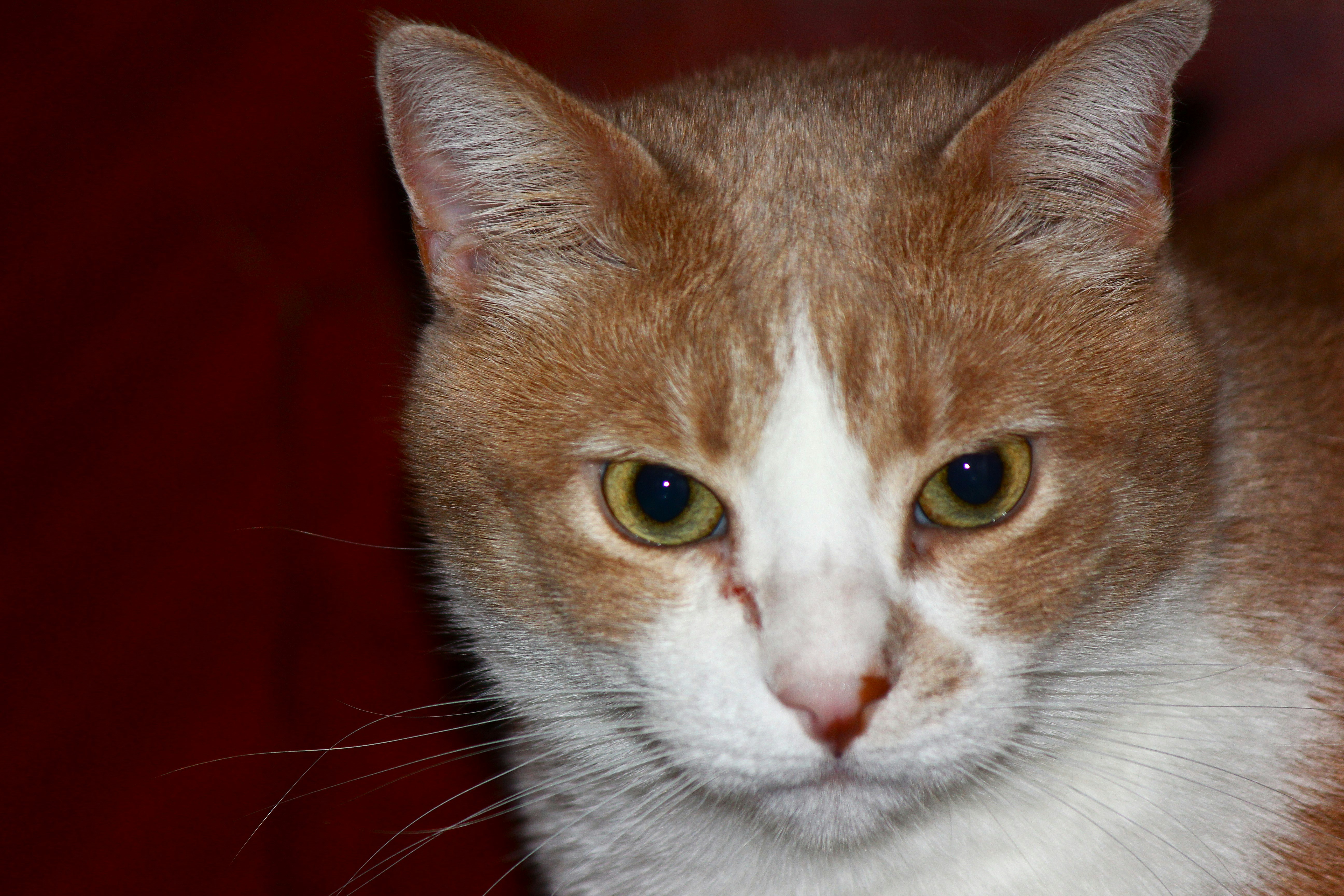 Photo by cengizozarpat