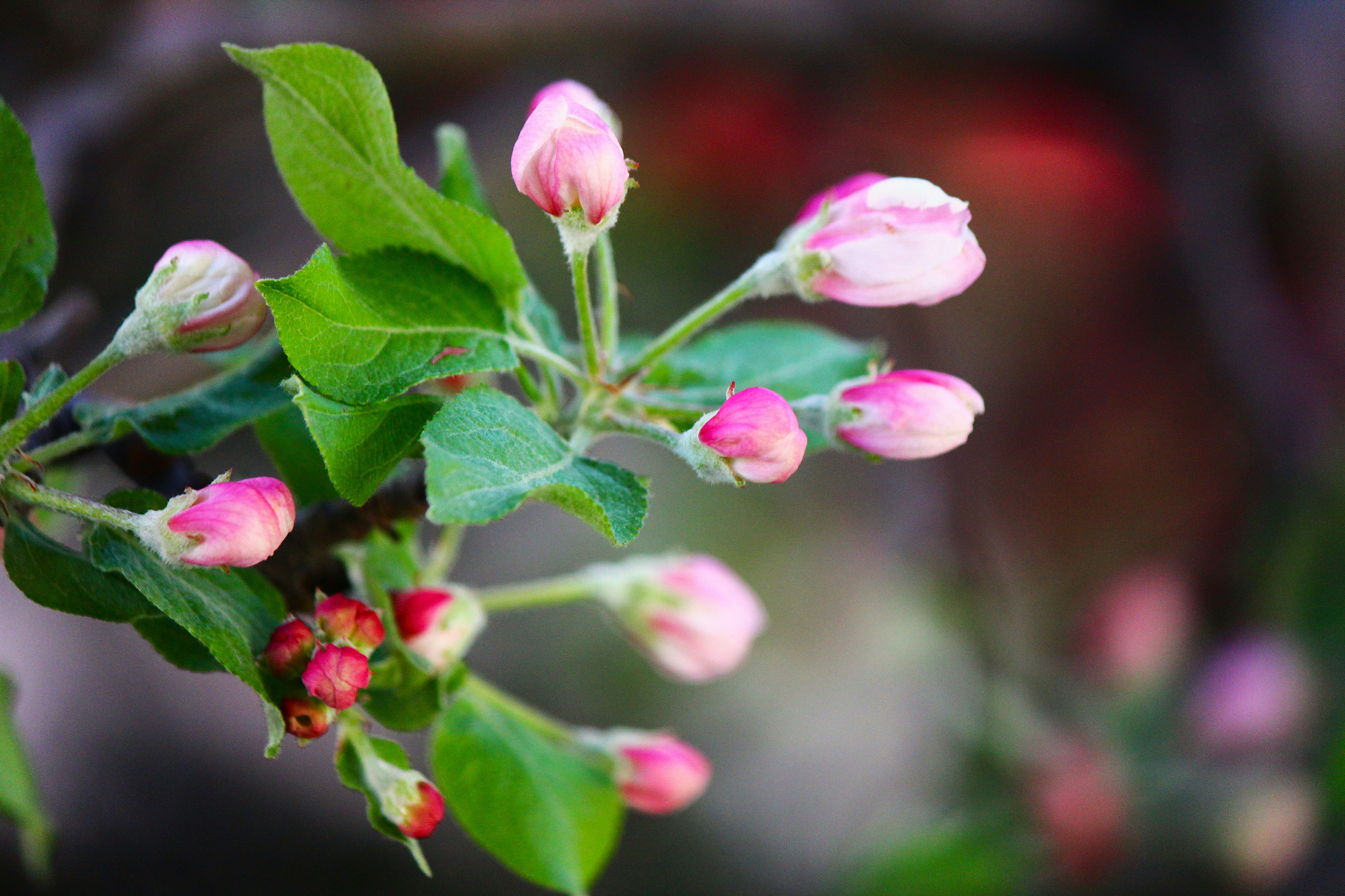 Photo by cengizozarpat