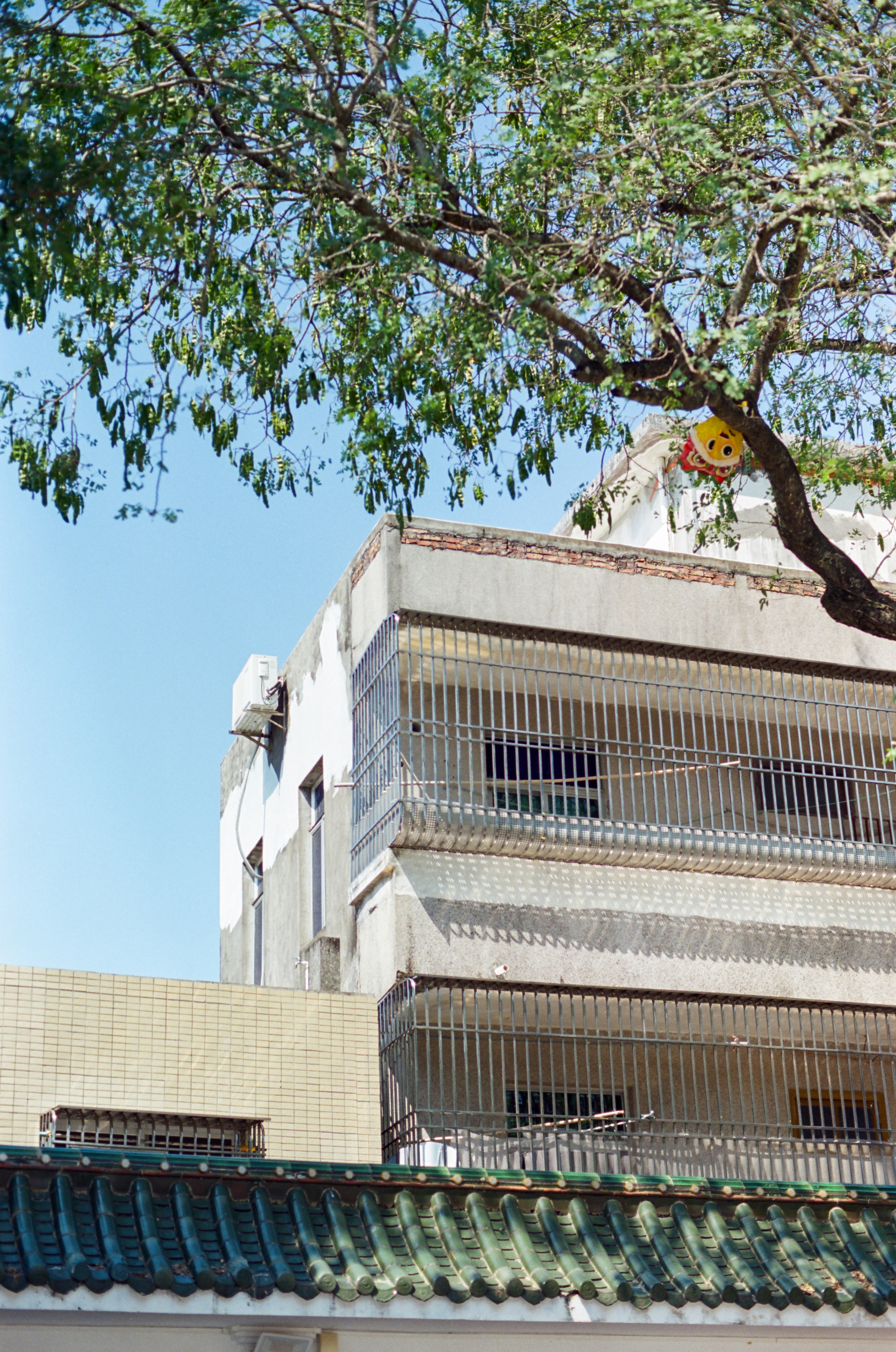 Photo by zhenyao_photo