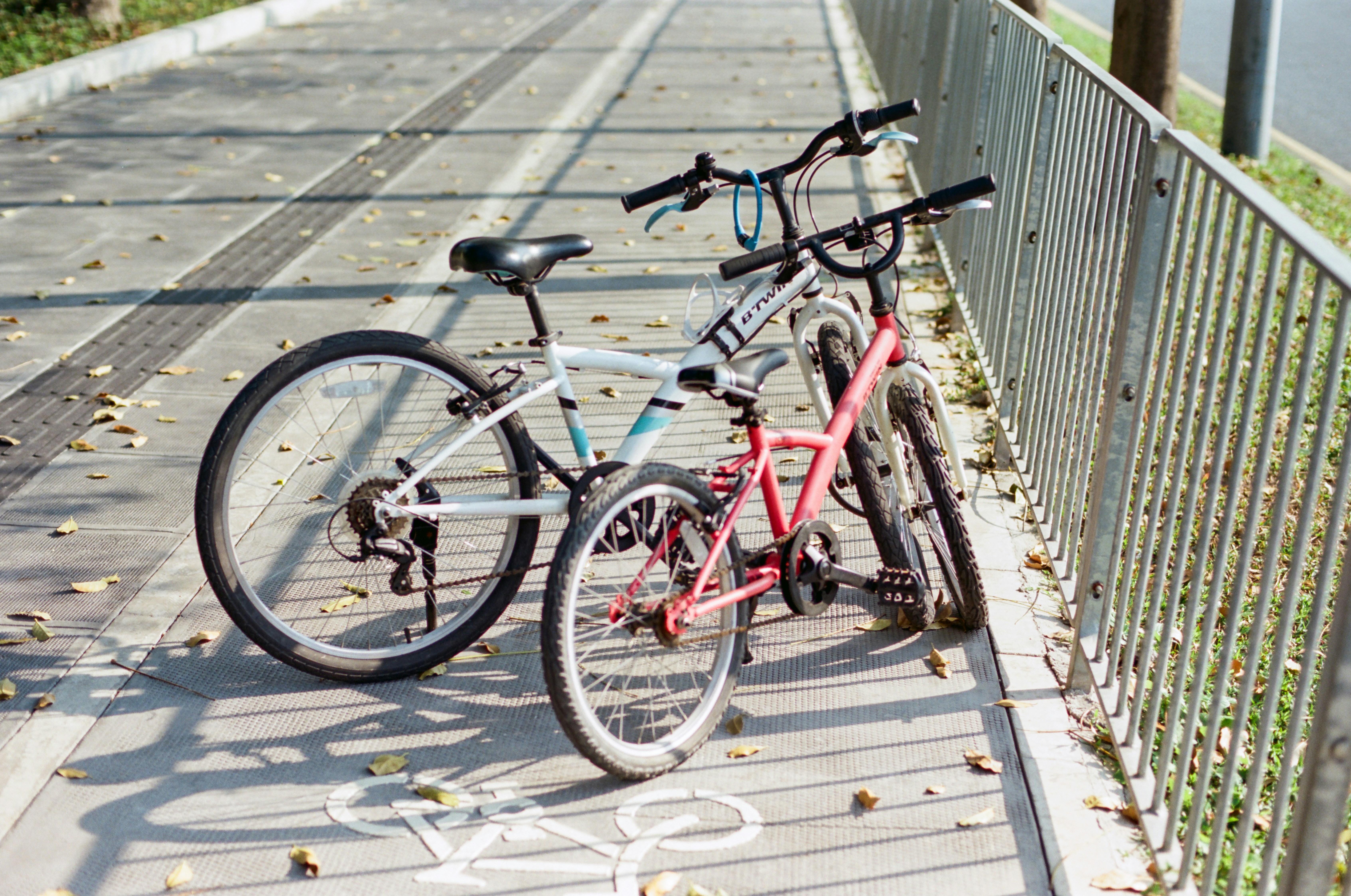 Photo by zhenyao_photo