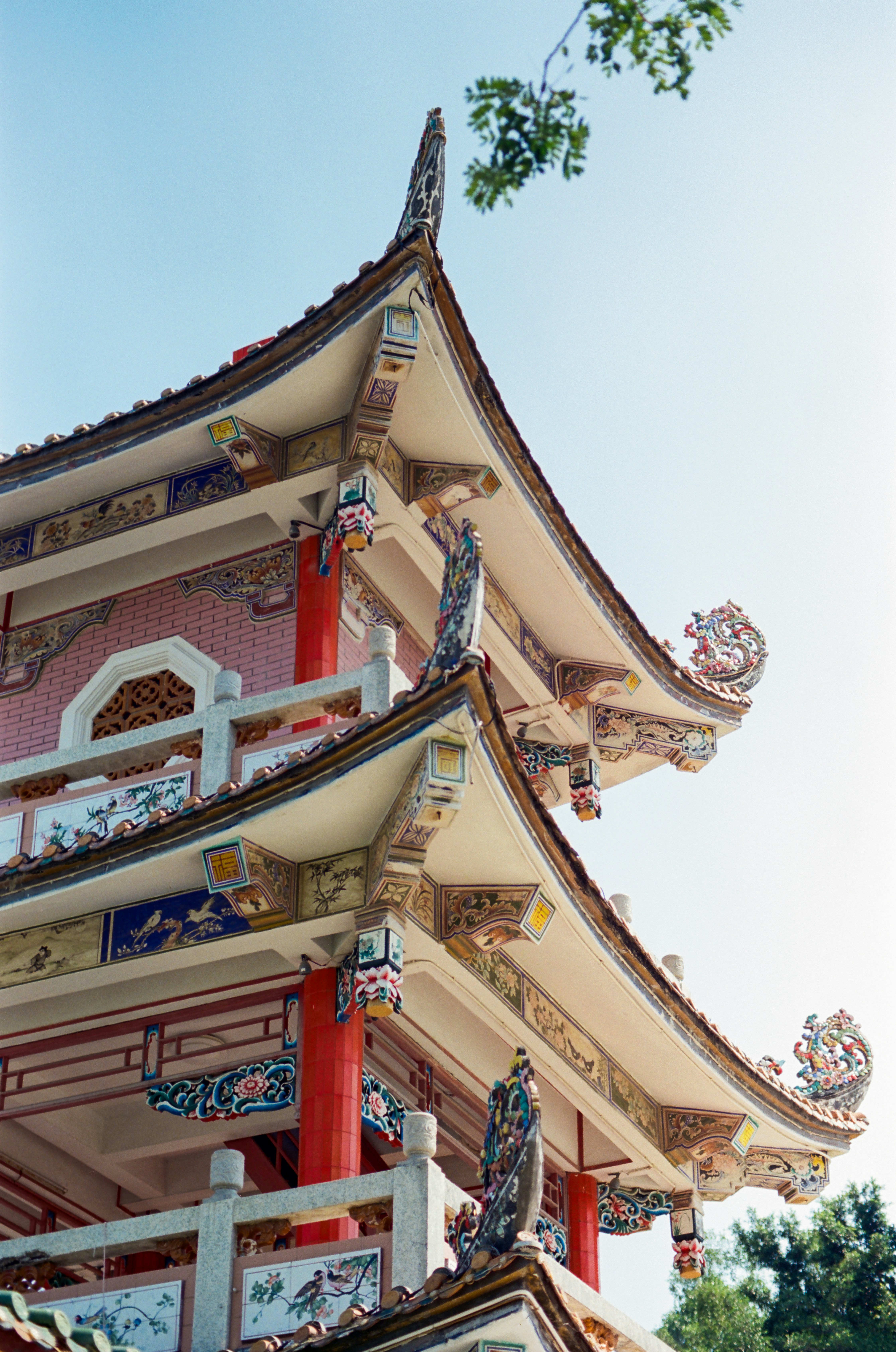 Photo by zhenyao_photo