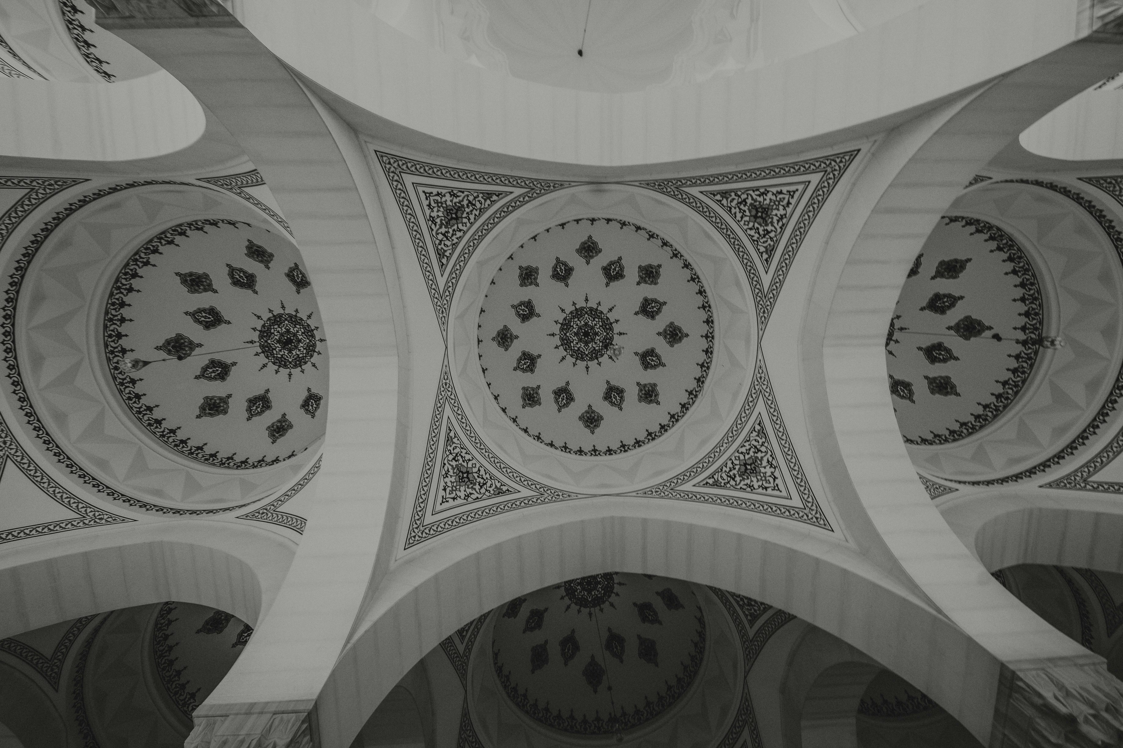 Photo by zofaphotography