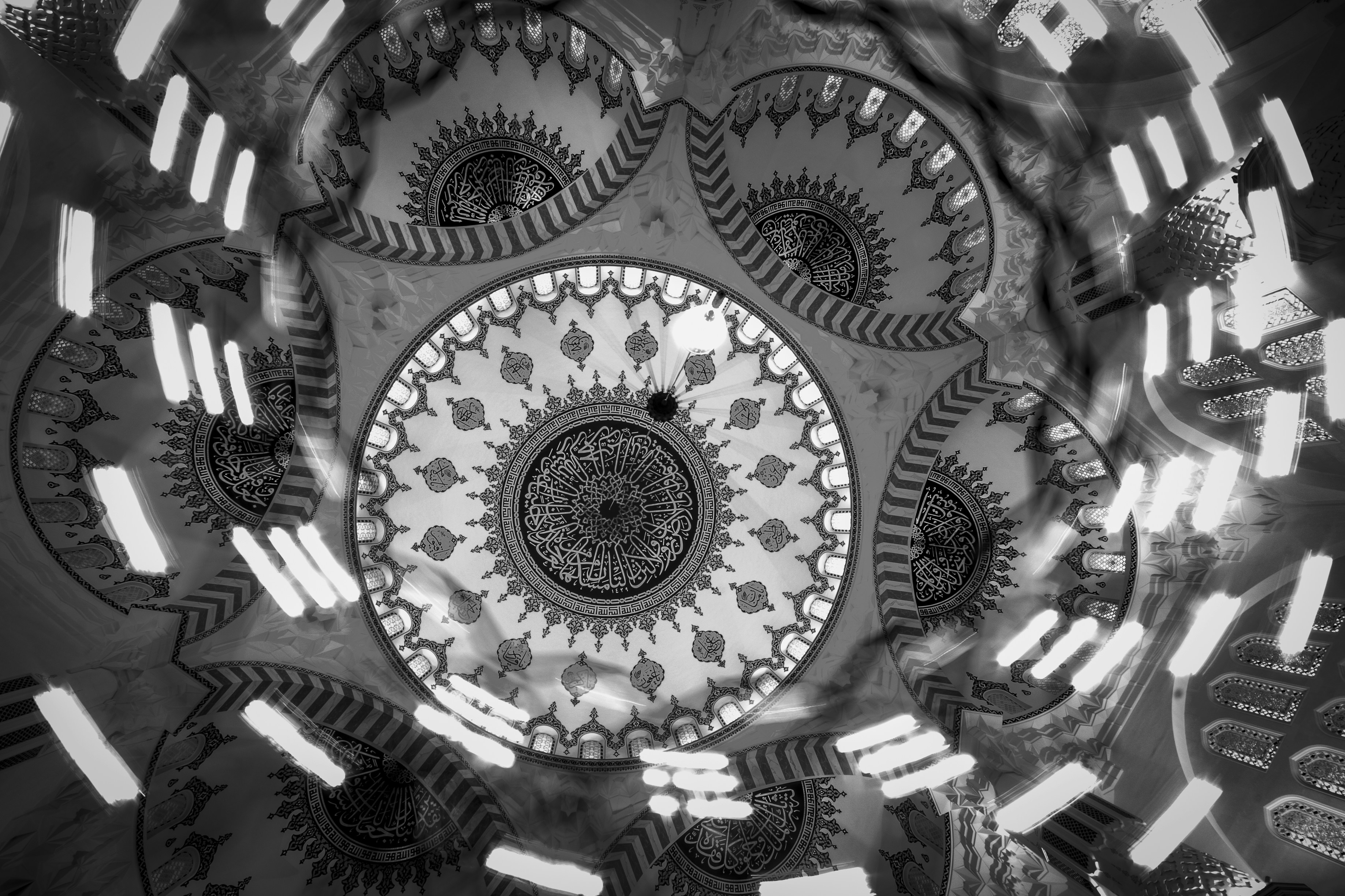 Photo by zofaphotography