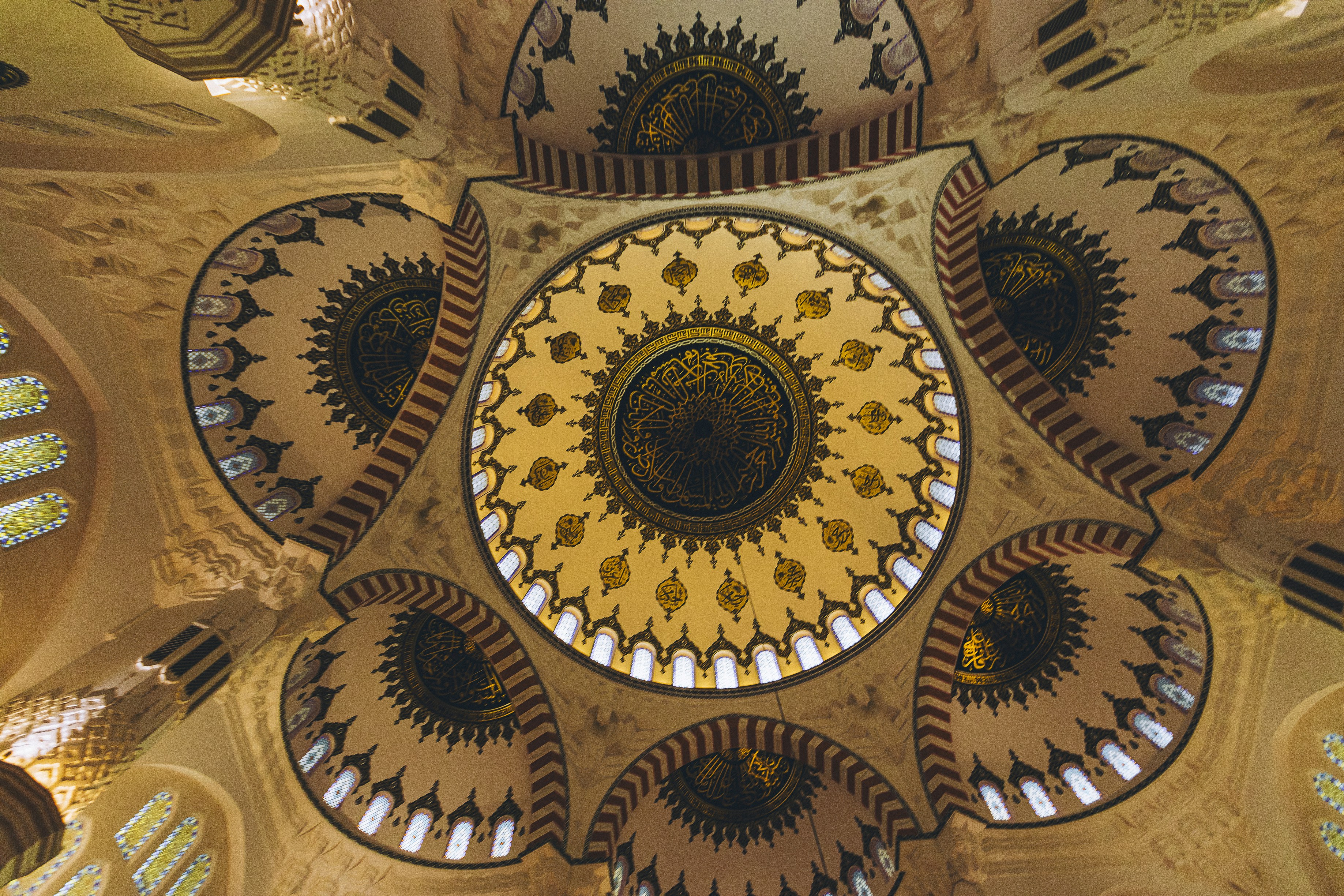 Photo by zofaphotography