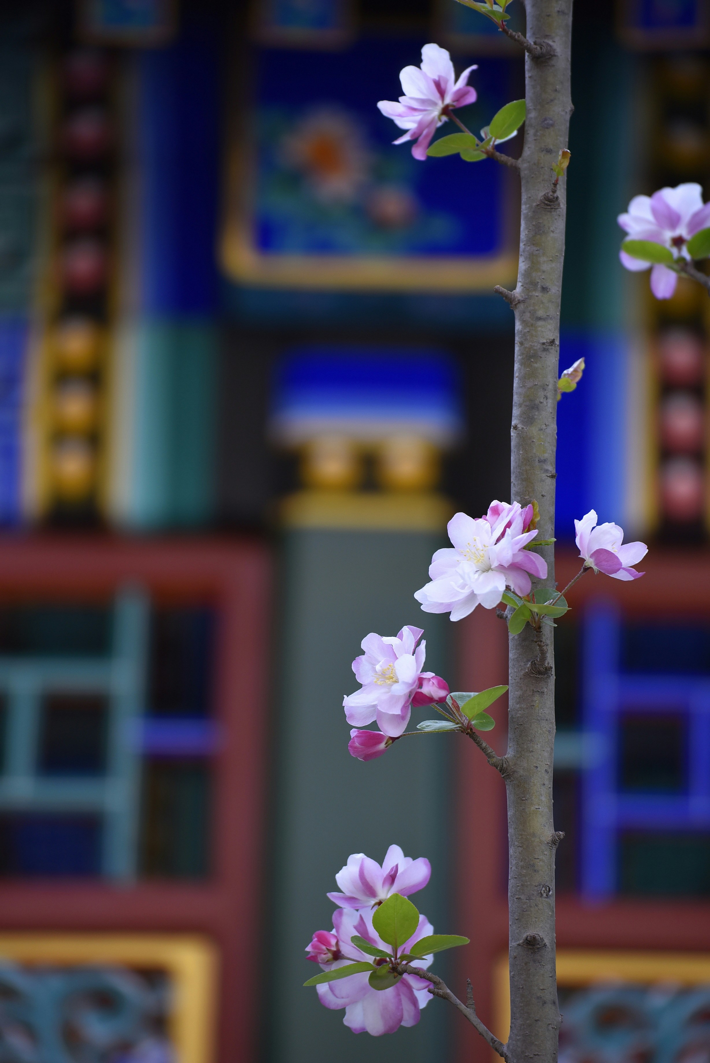 Photo by gabrielxu