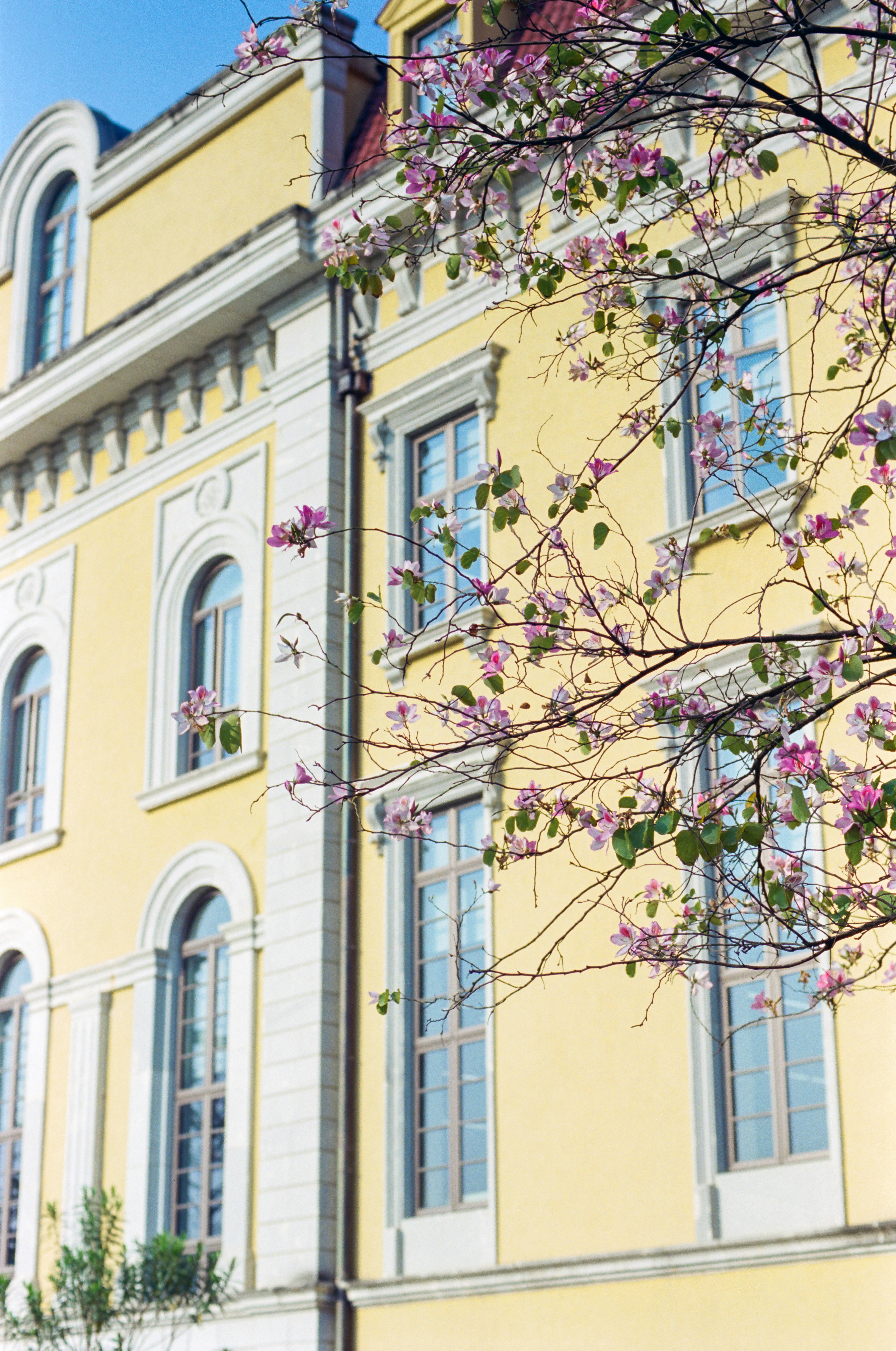 Photo by zhenyao_photo