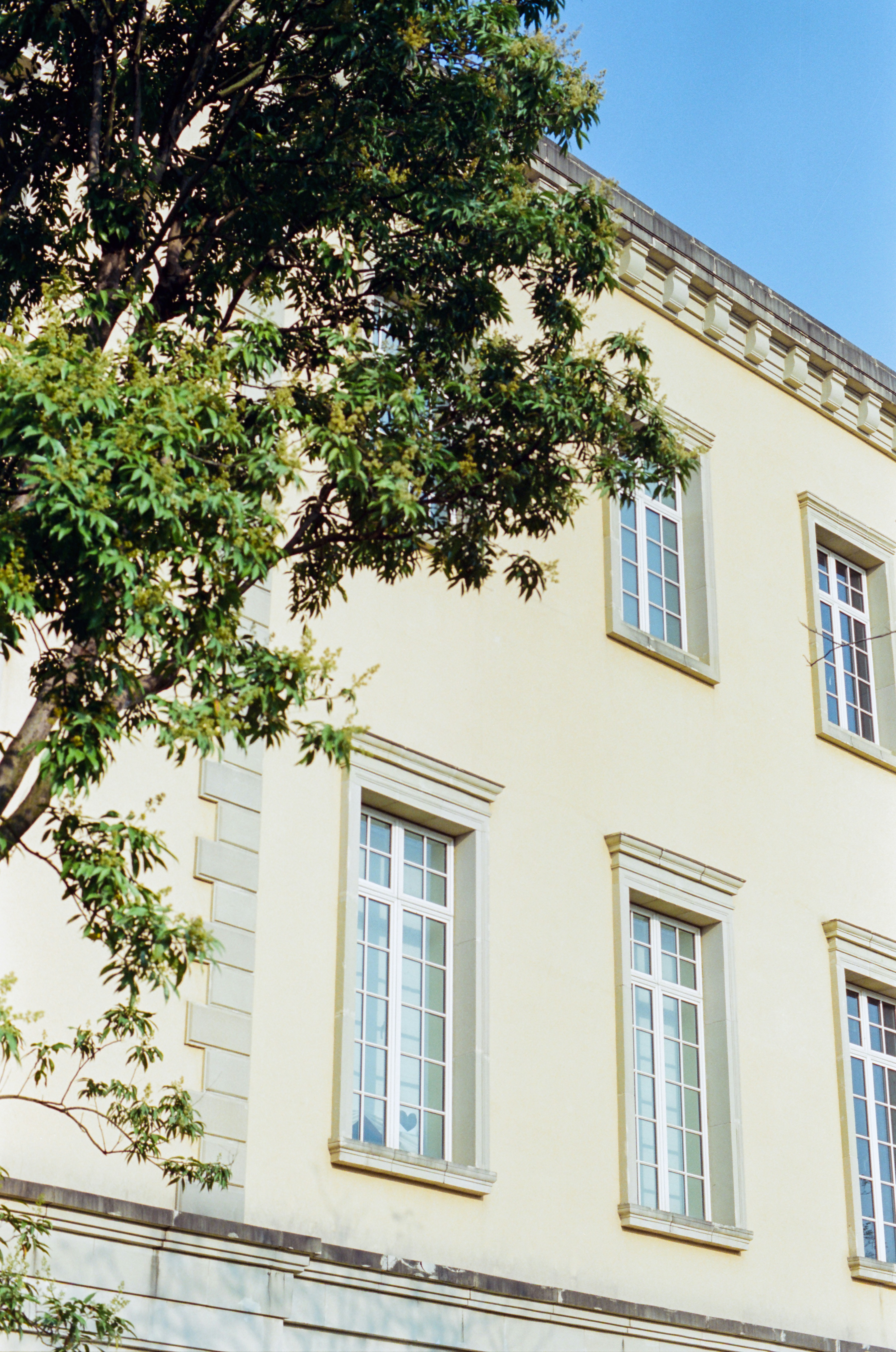 Photo by zhenyao_photo