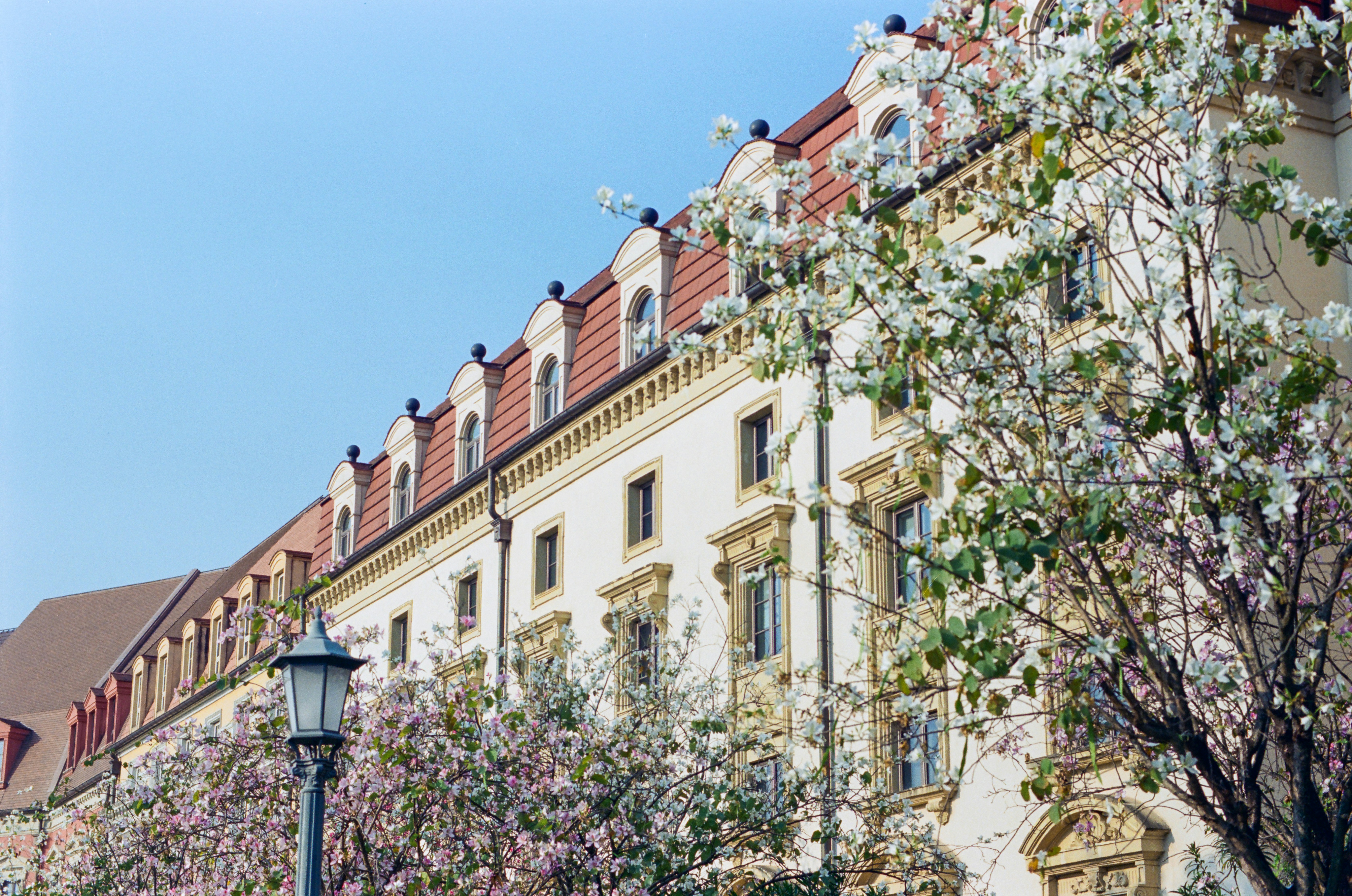 Photo by zhenyao_photo