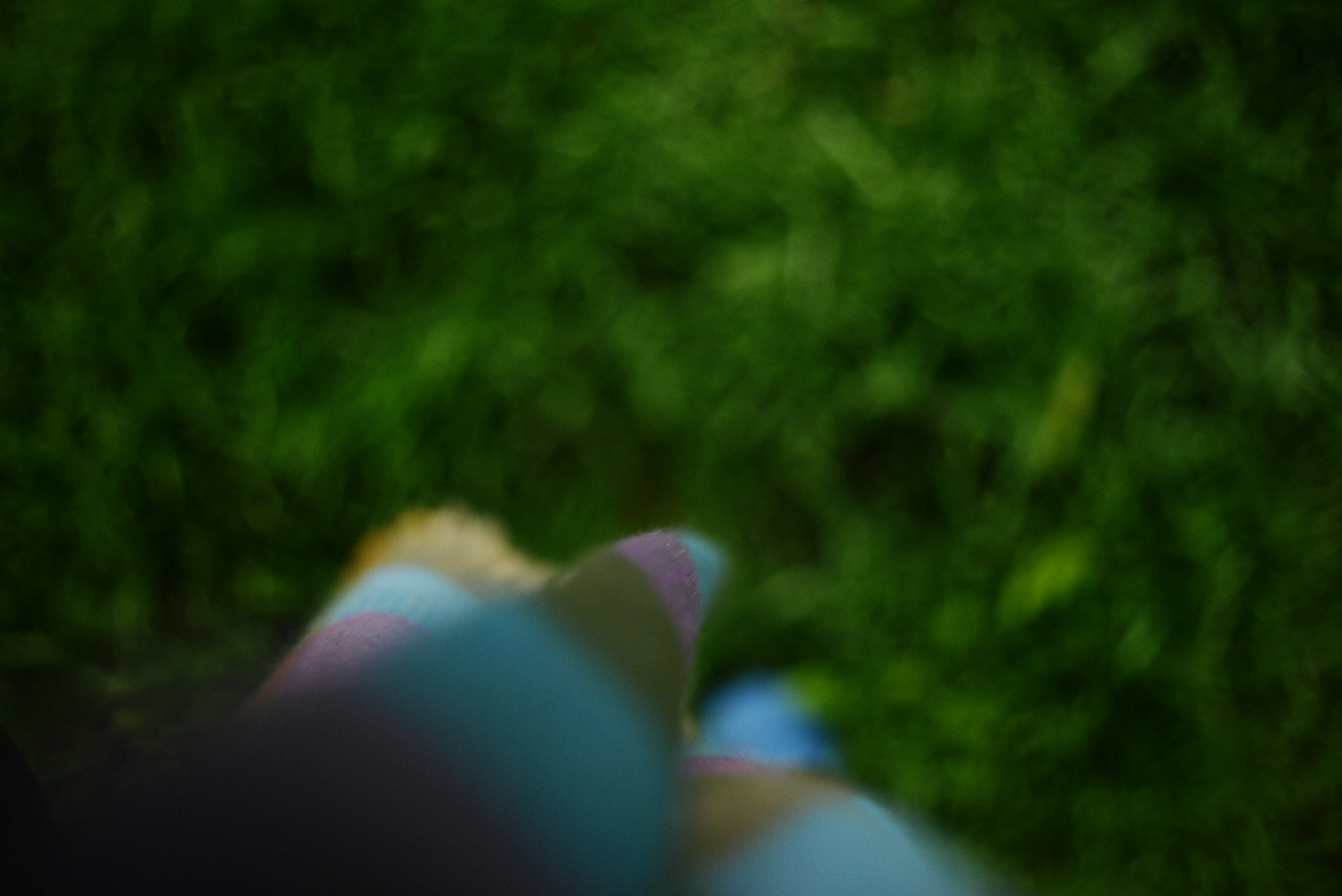 Photo by cherstve_pechivo