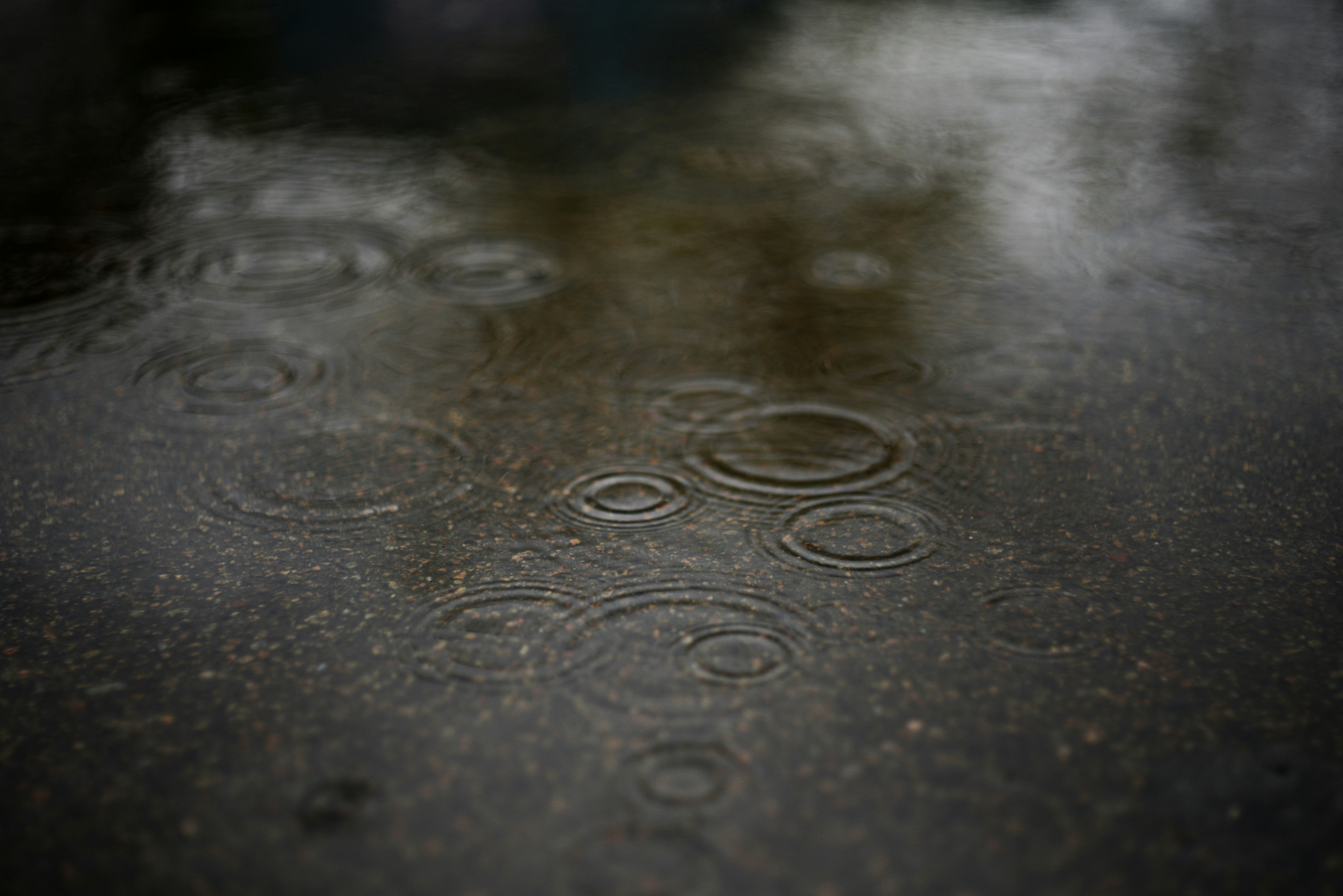 Can We Recreate the After-Rain Scent? (image credits: unsplash)