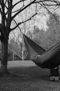 A hammock hangs under a tree.