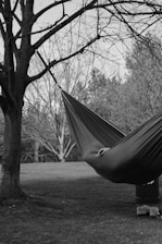 A hammock hangs under a tree.