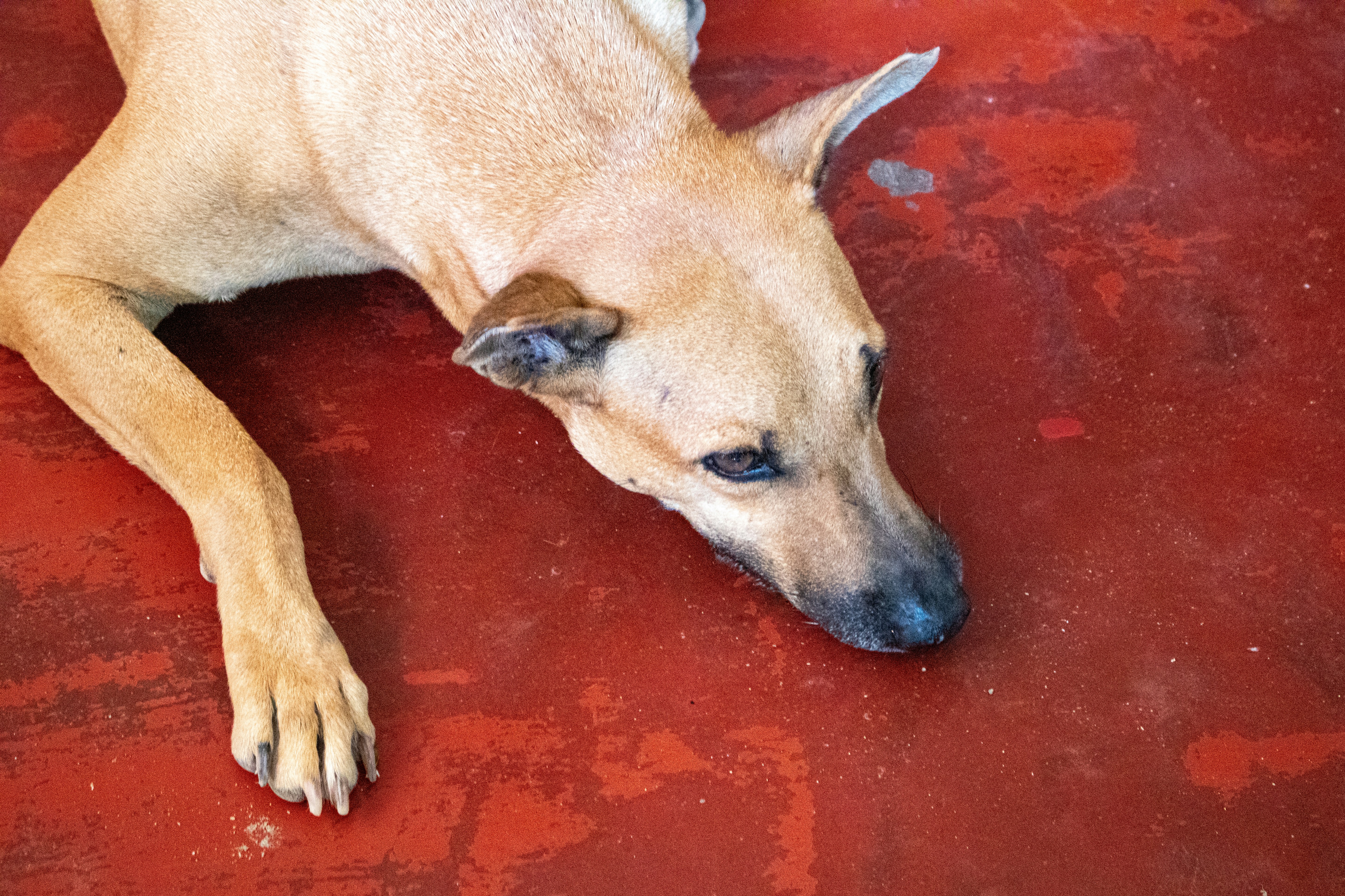 Photo by zoshuacolah