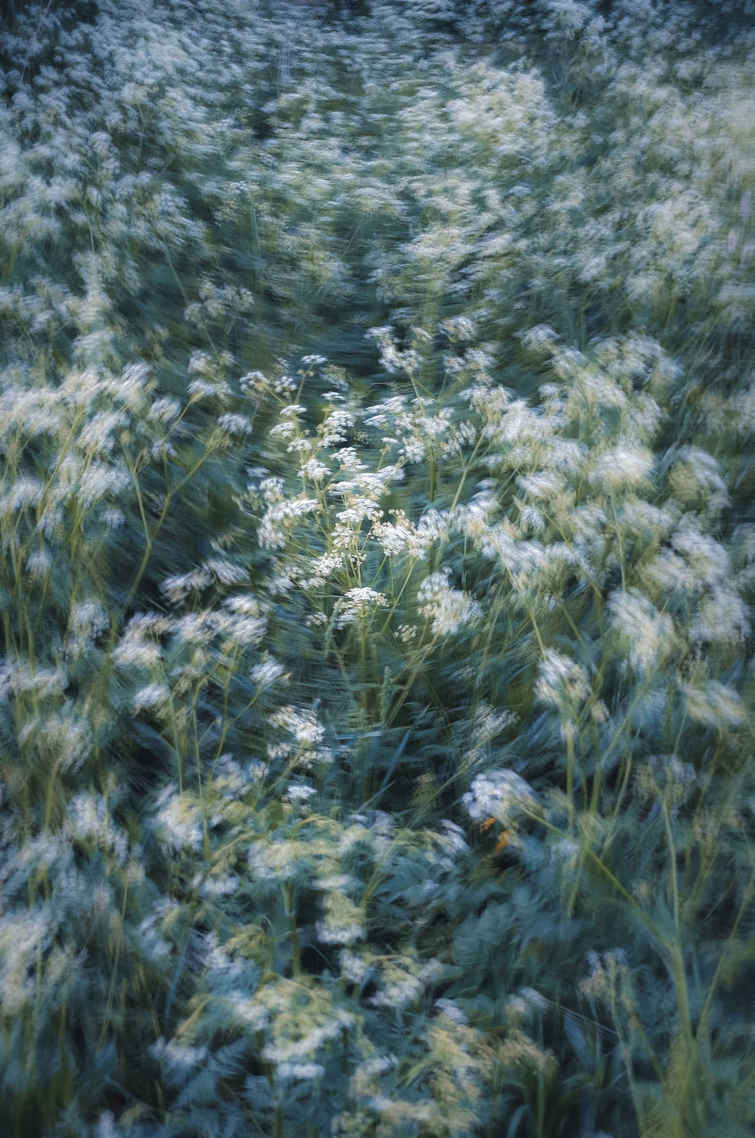 Photo by eugene_golovesov