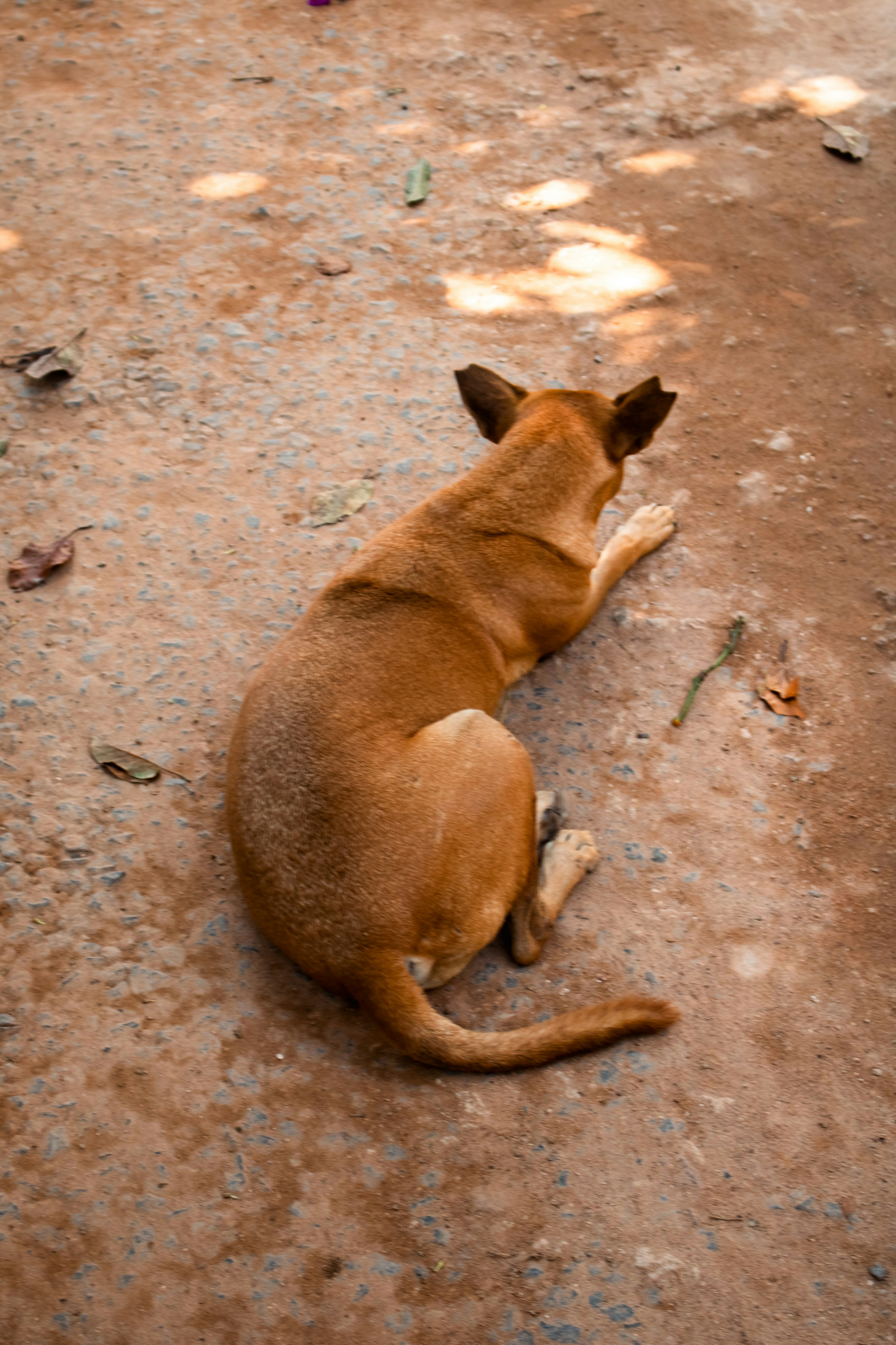 Photo by zoshuacolah