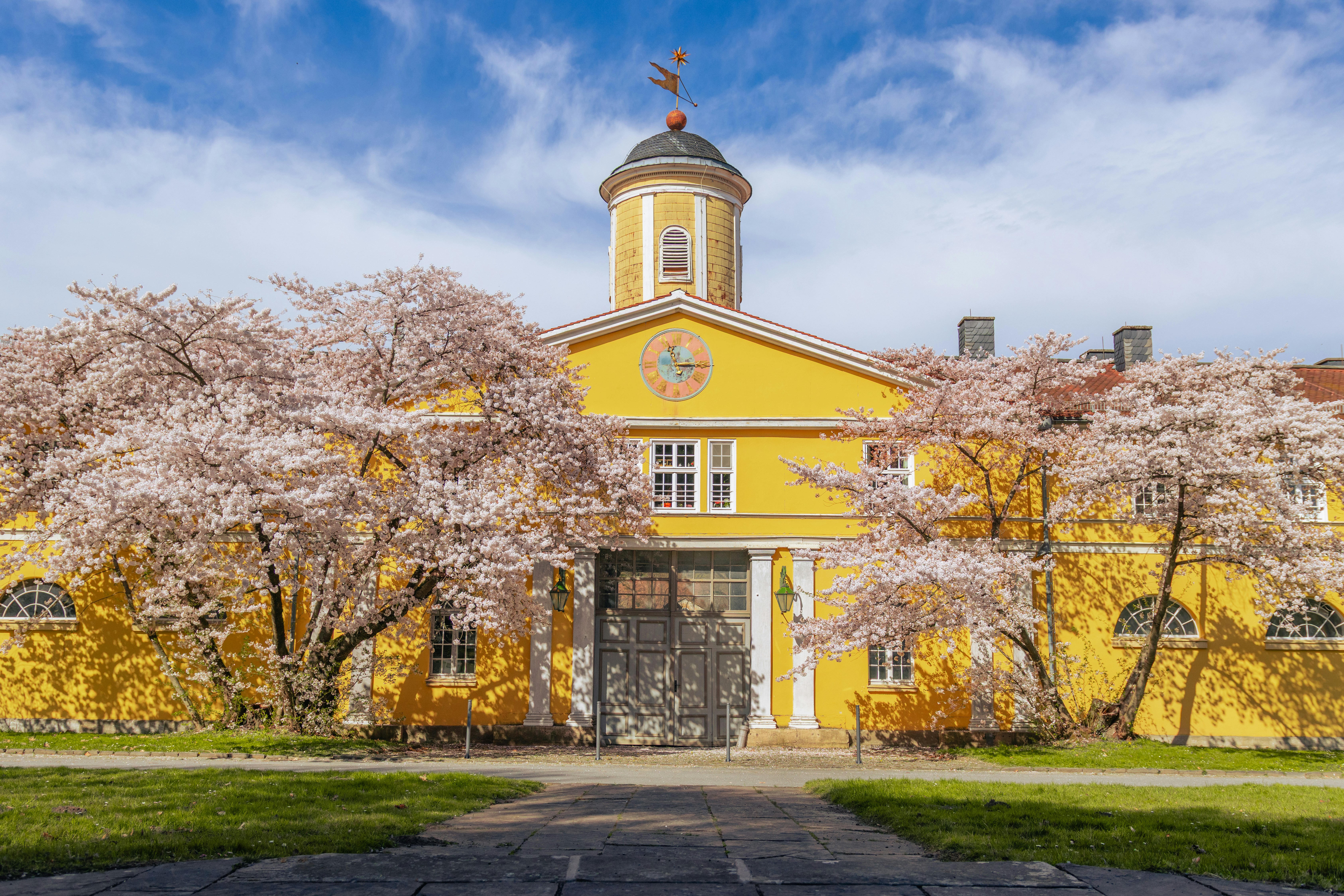 Beautiful building framed by blooming cherry blossoms.