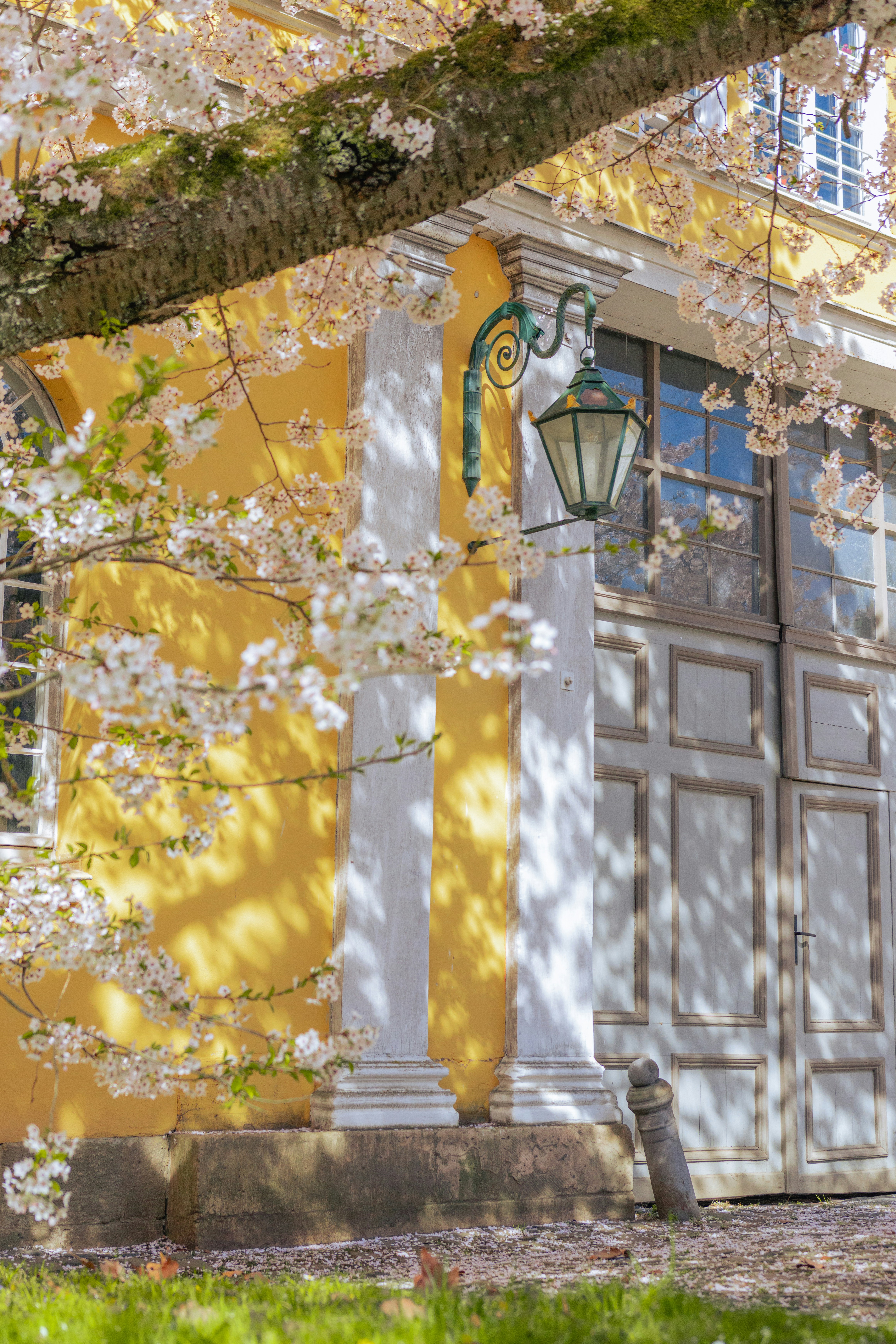 Yellow building and flowers in beautiful spring.