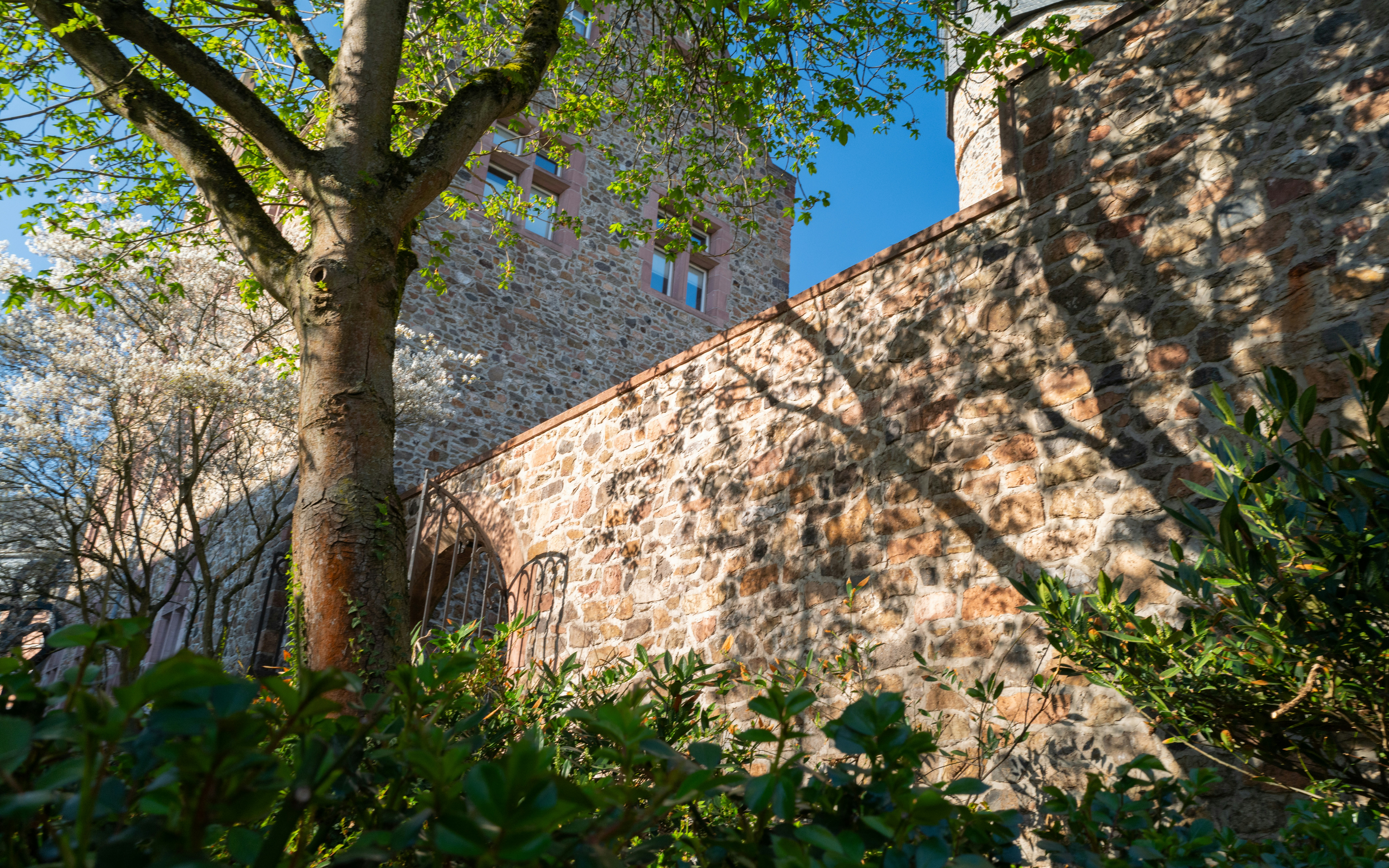 Photo by maikastheimer