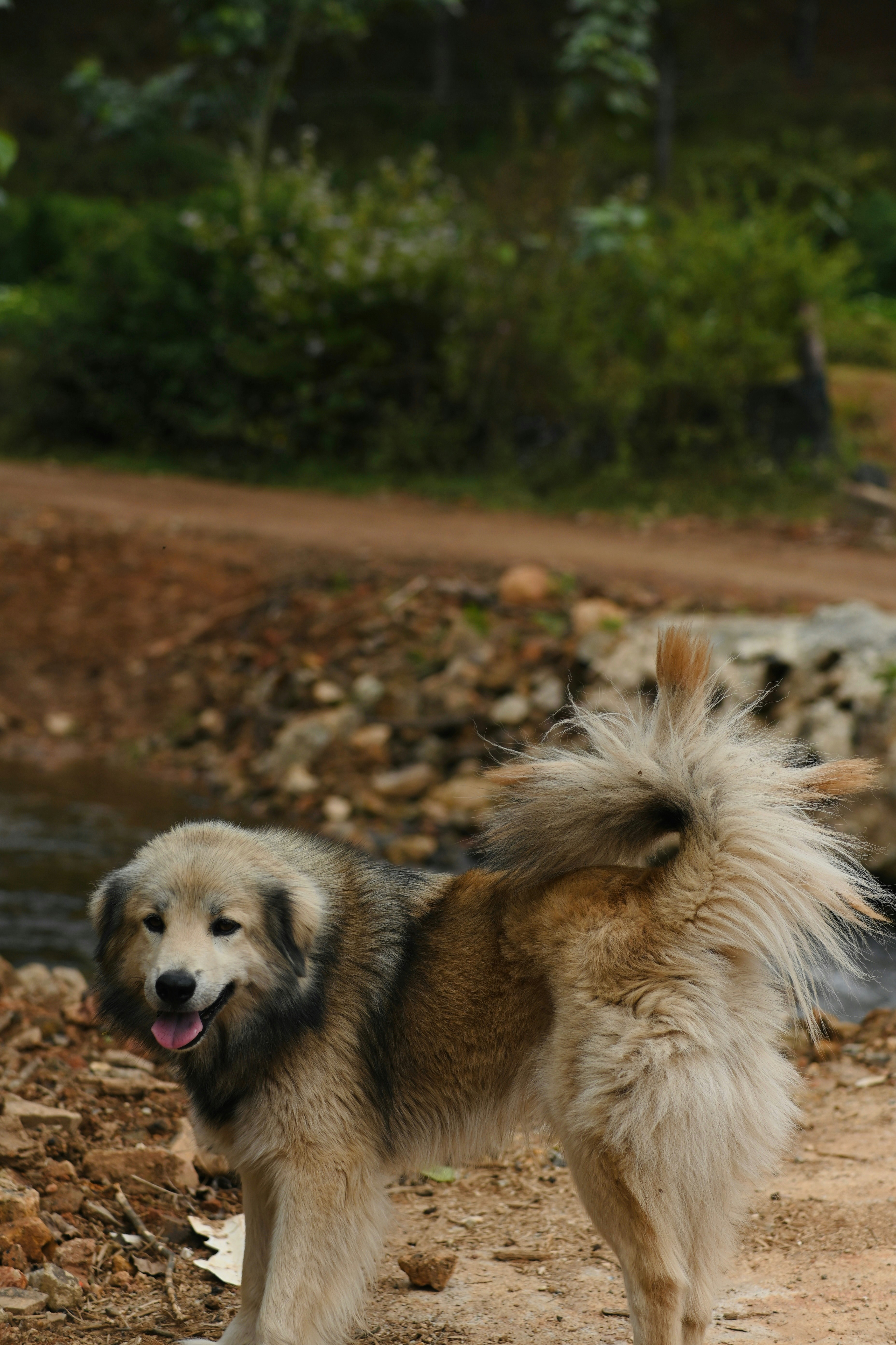 Photo by buithanhuong