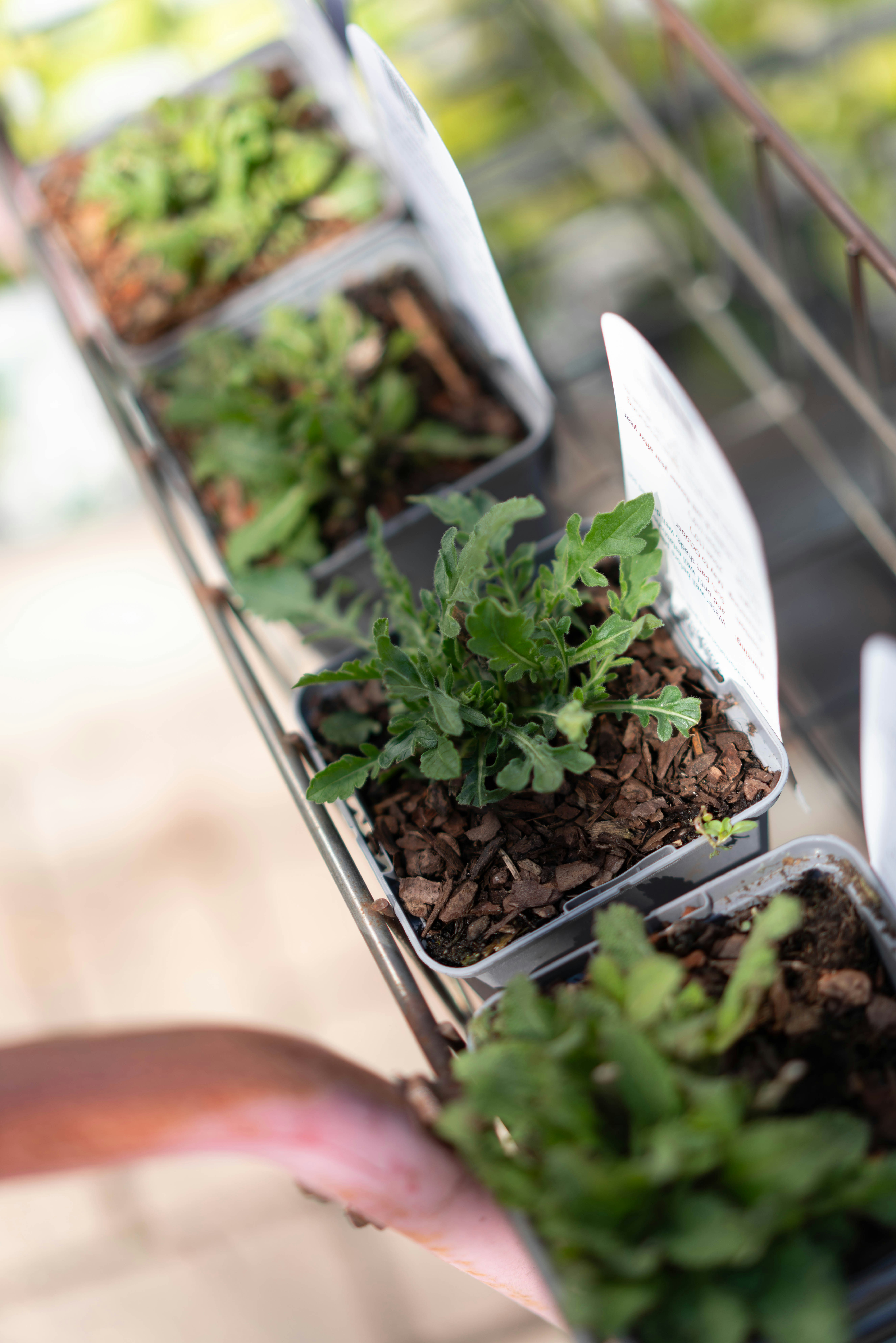 Photo by philhearing